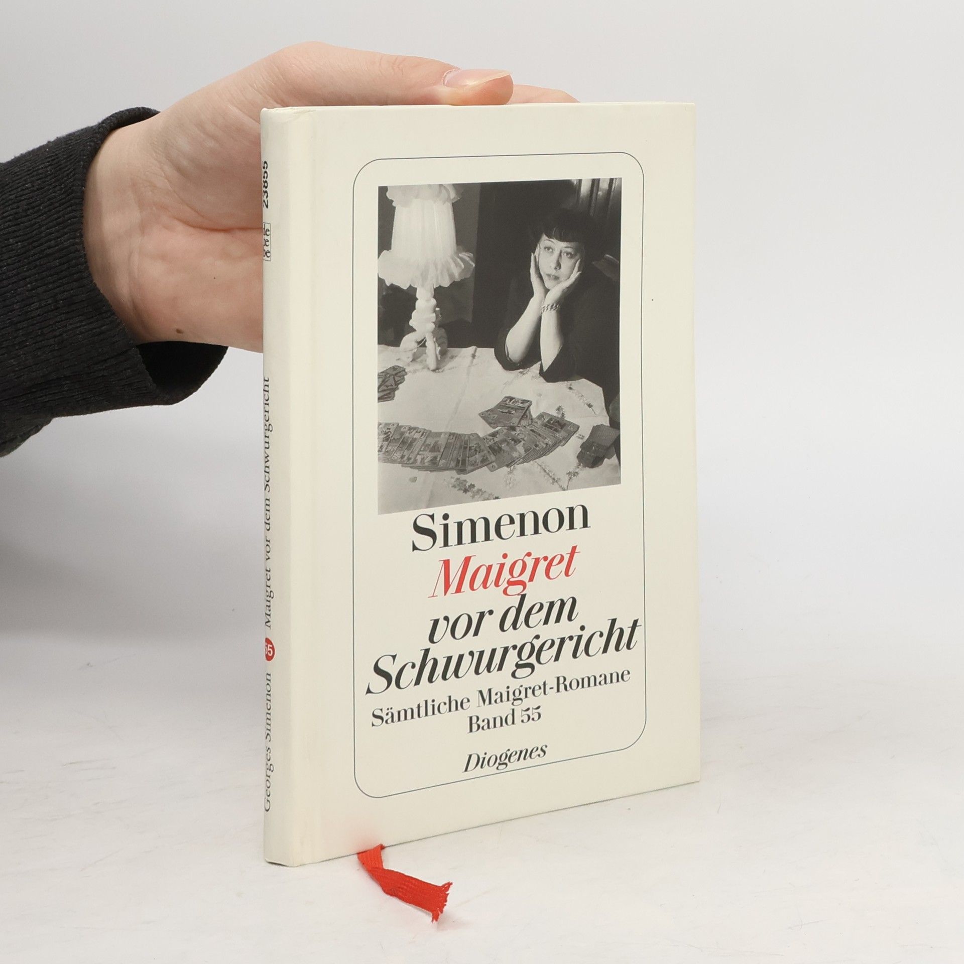 Georges Simenon Maigret vor dem Schwurgericht