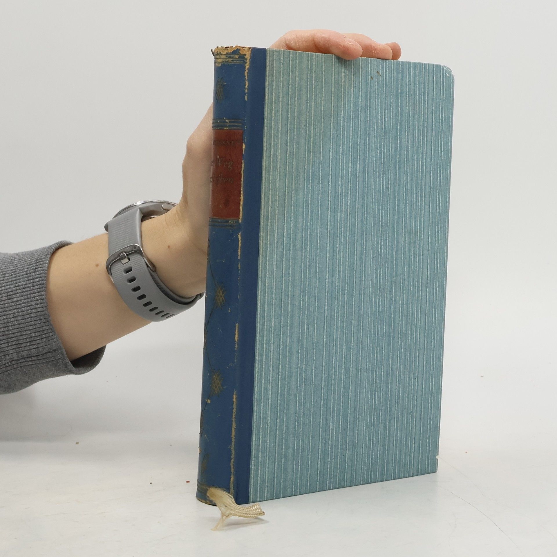 Dr. Hans-Otto Meißner Der Weg nach oben