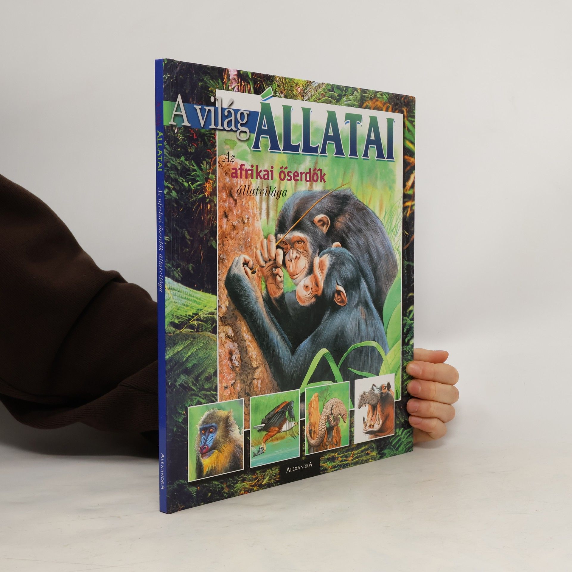 Arturo Arzuffi A világ állatai