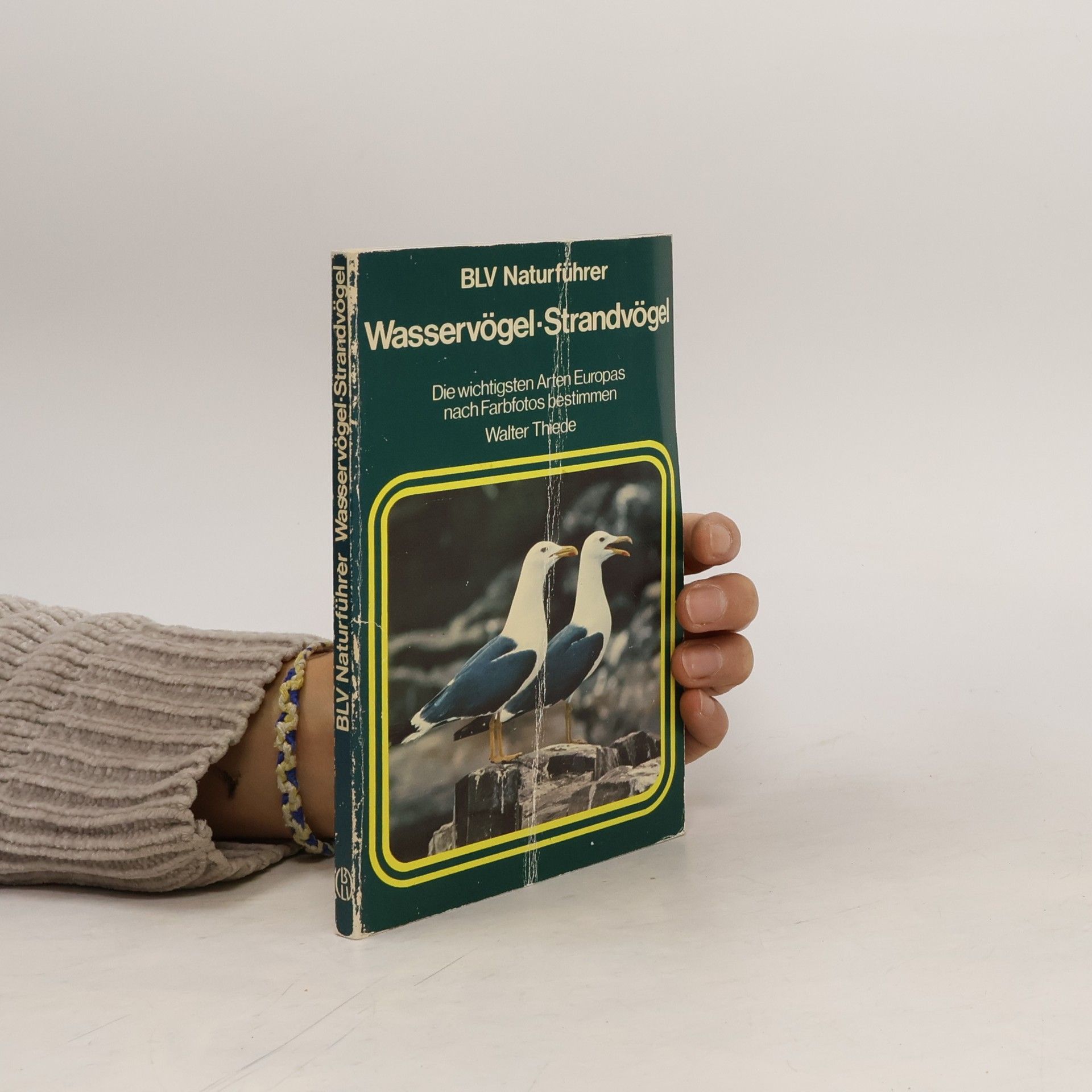 Walther Thiede Wasservögel, Strandvögel