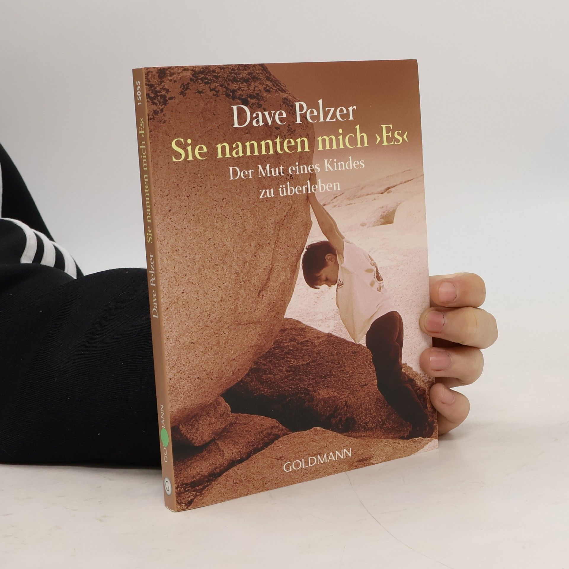 Dave Pelzer Sie nannten mich "Es"