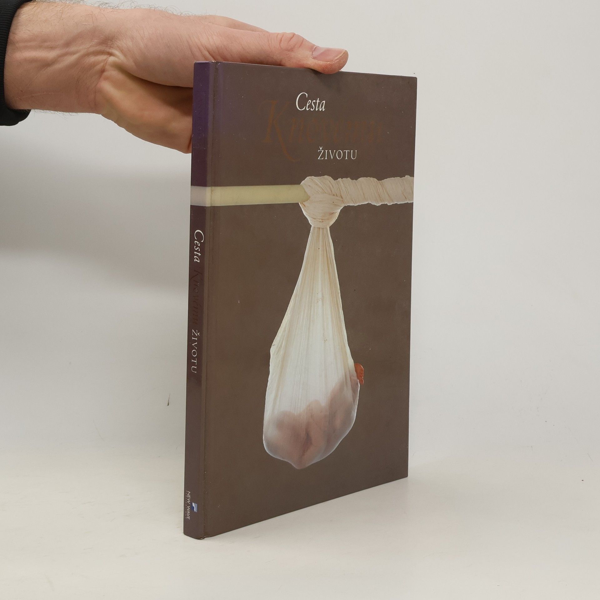 Anne Geddes Cesta k novému životu