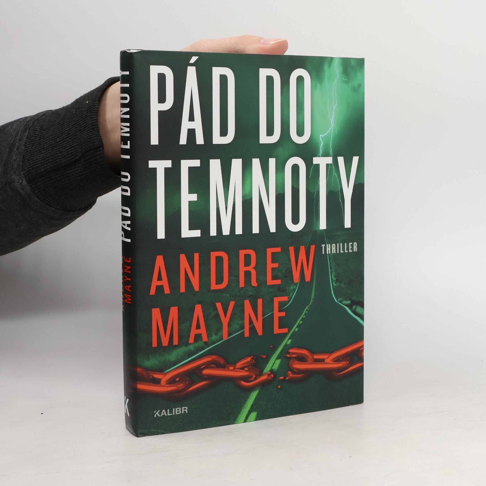 Milan Lžička Pád do temnoty