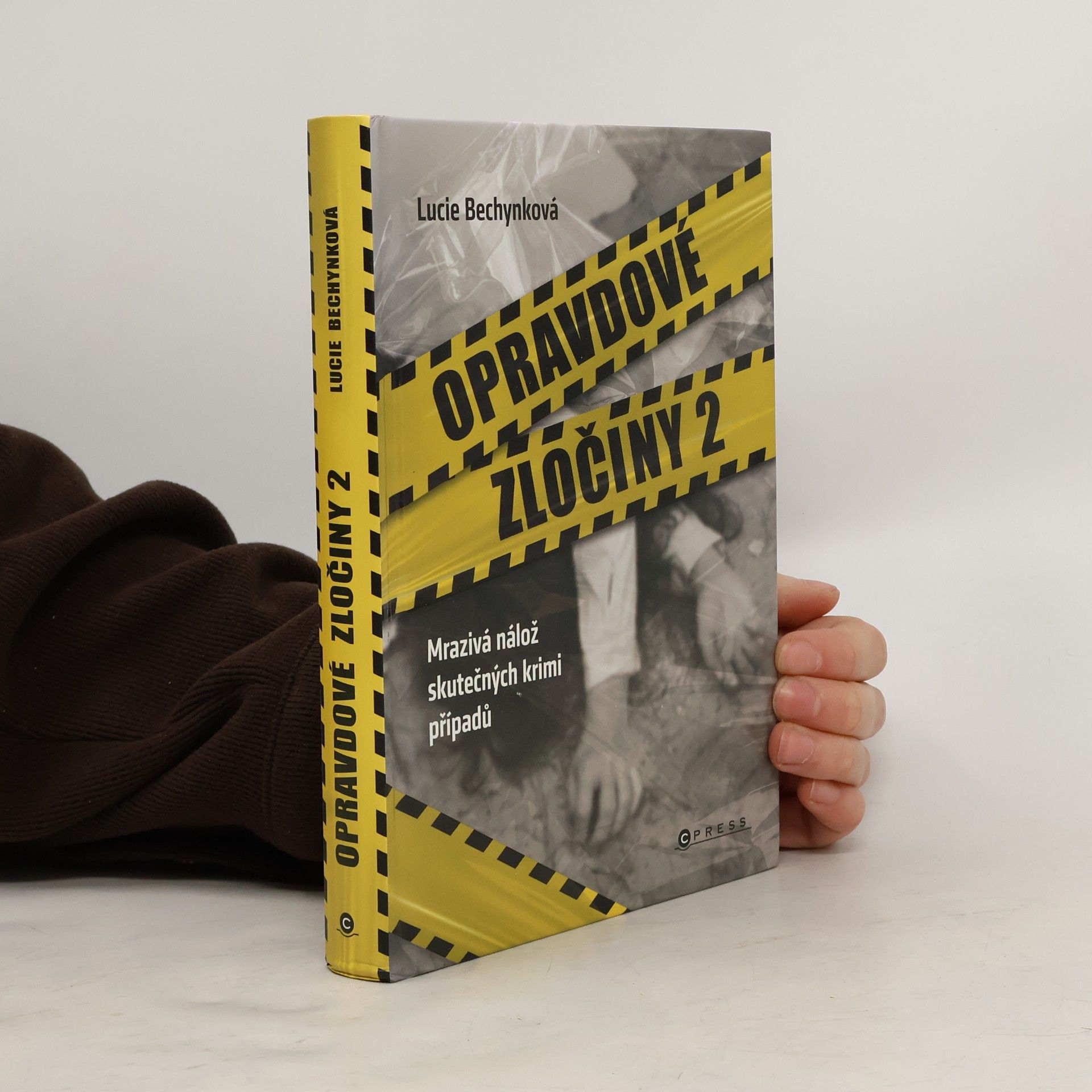 Opravdové zločiny 2