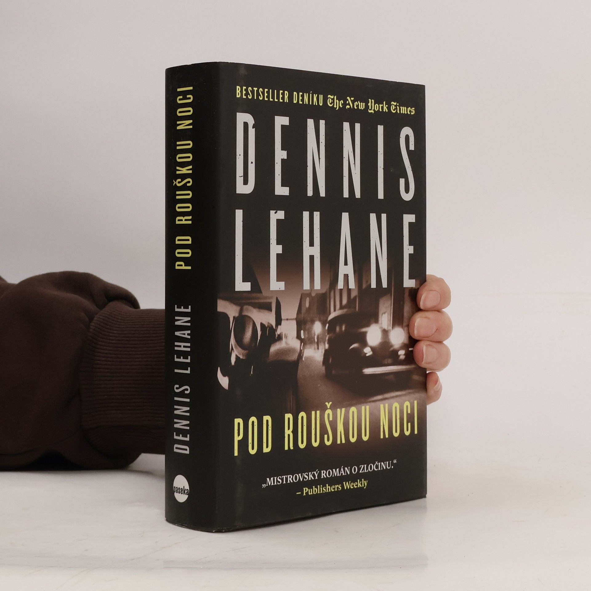 Dennis Lehane Pod rouškou noci