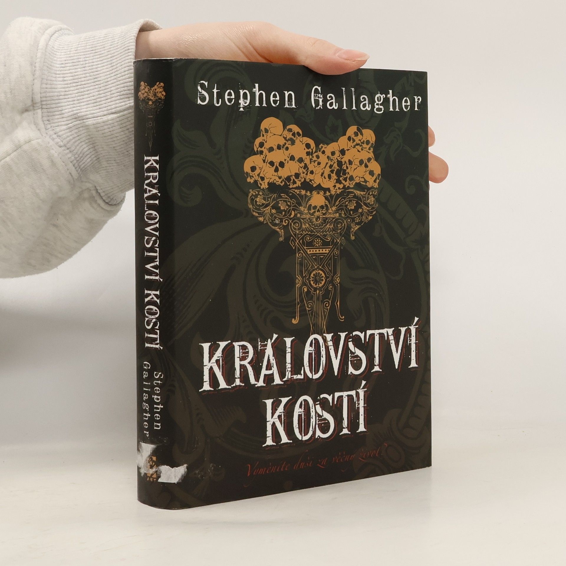 Stephen Gallagher Království kostí