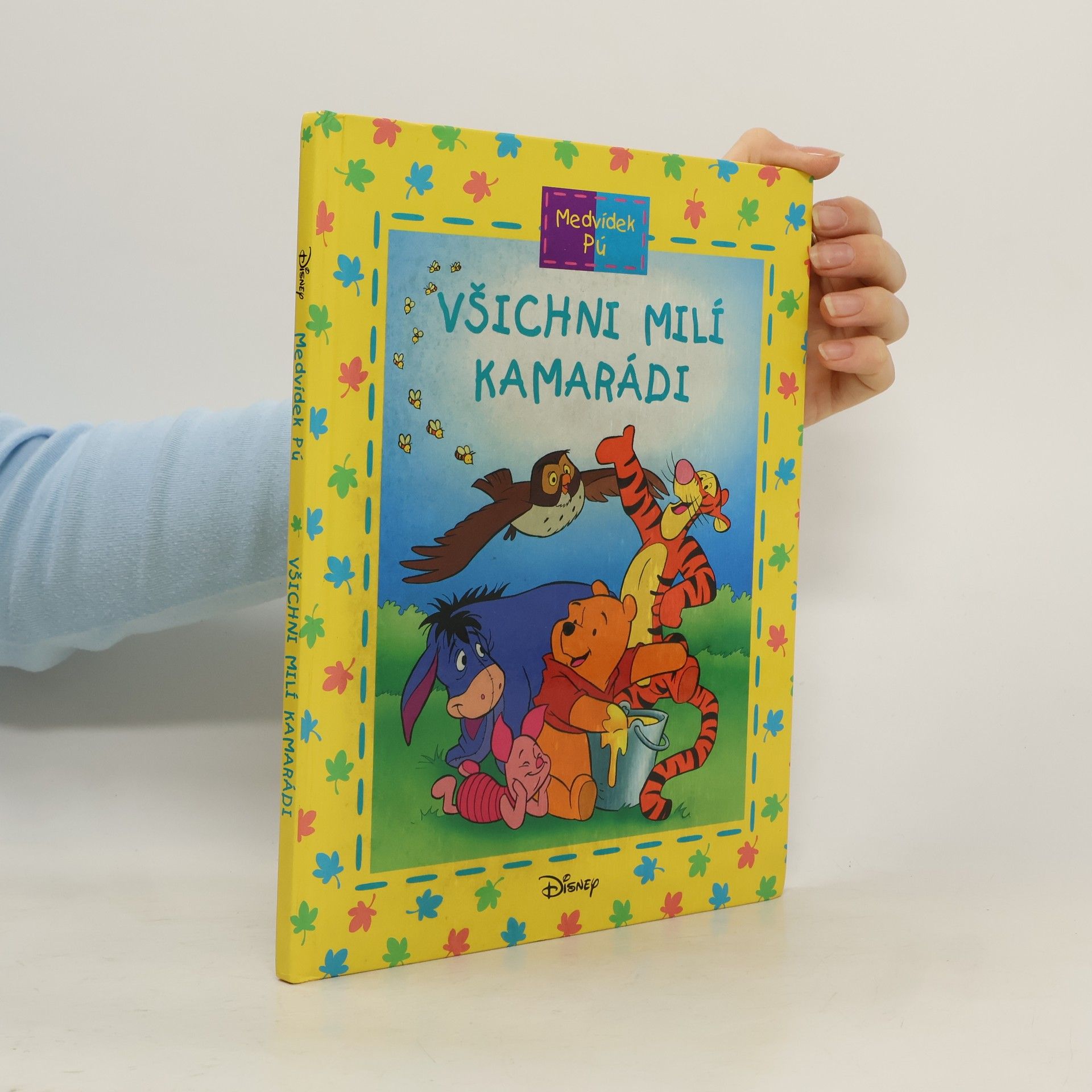 Medvídek Pú: Všichni milí kamarádi