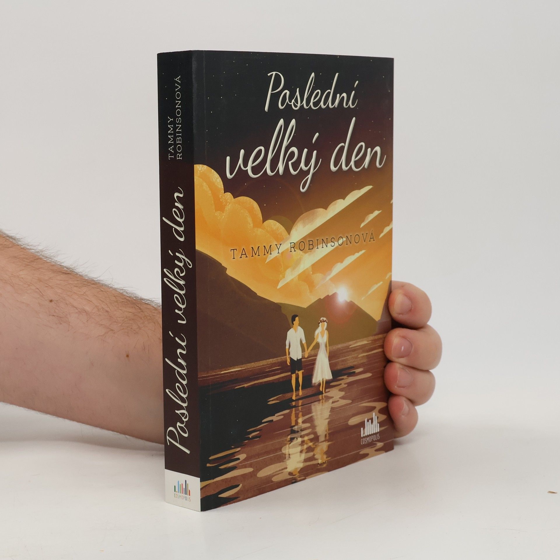 Tammy Robinson Poslední velký den