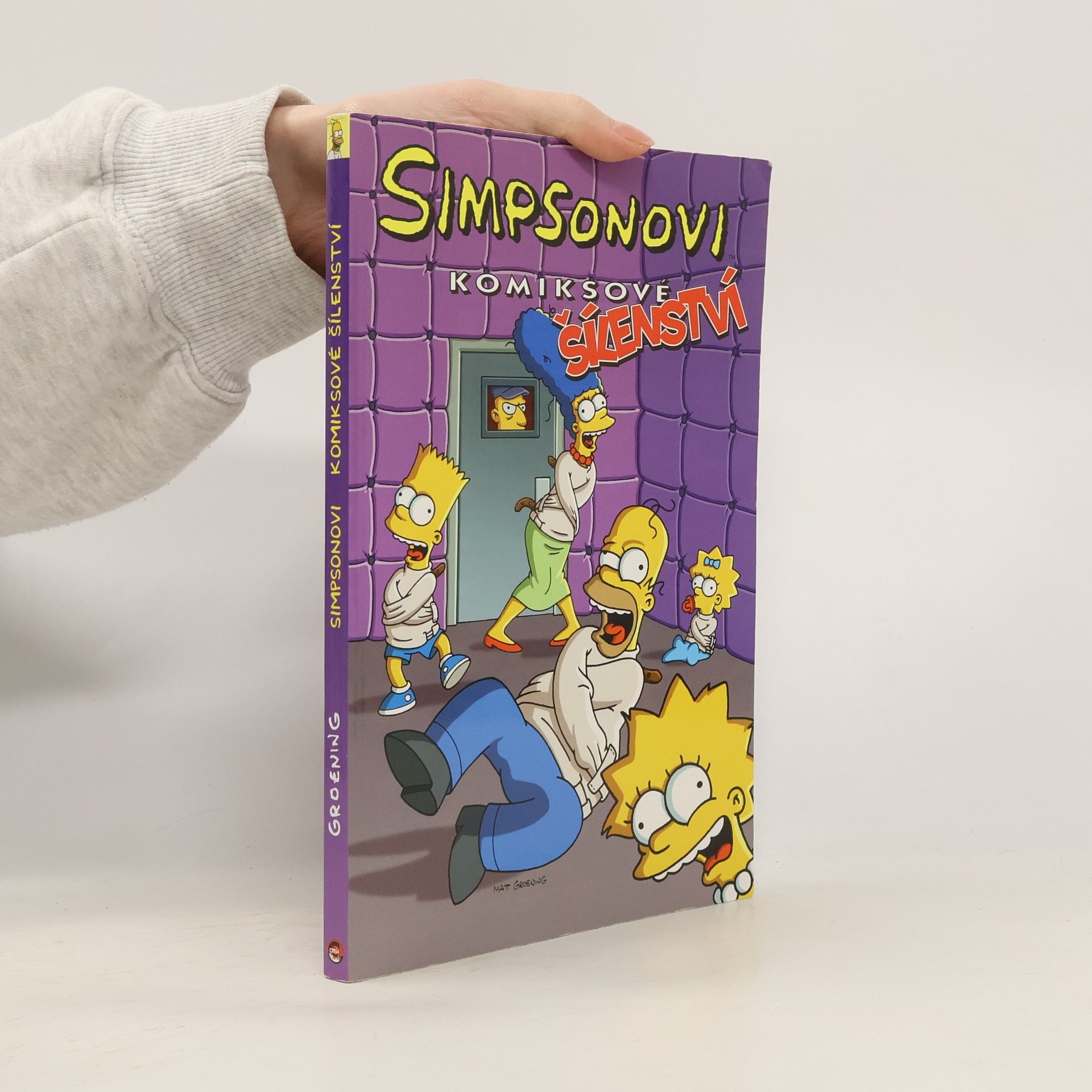 Matt Groening Simpsonovi, Komiksové šílenství