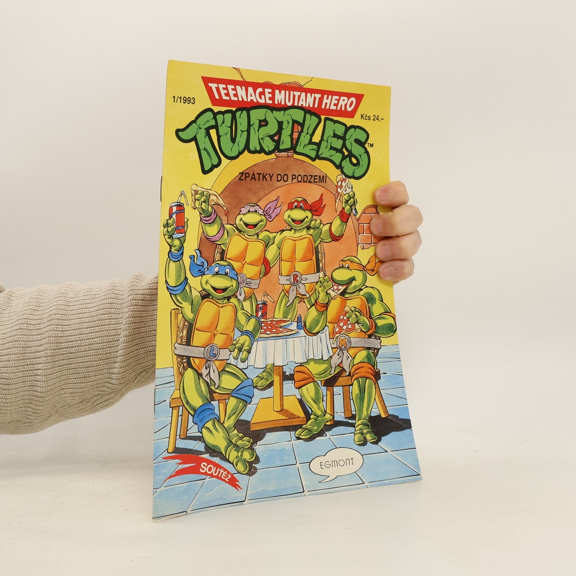 Teenage Mutant Hero Turtles #13
