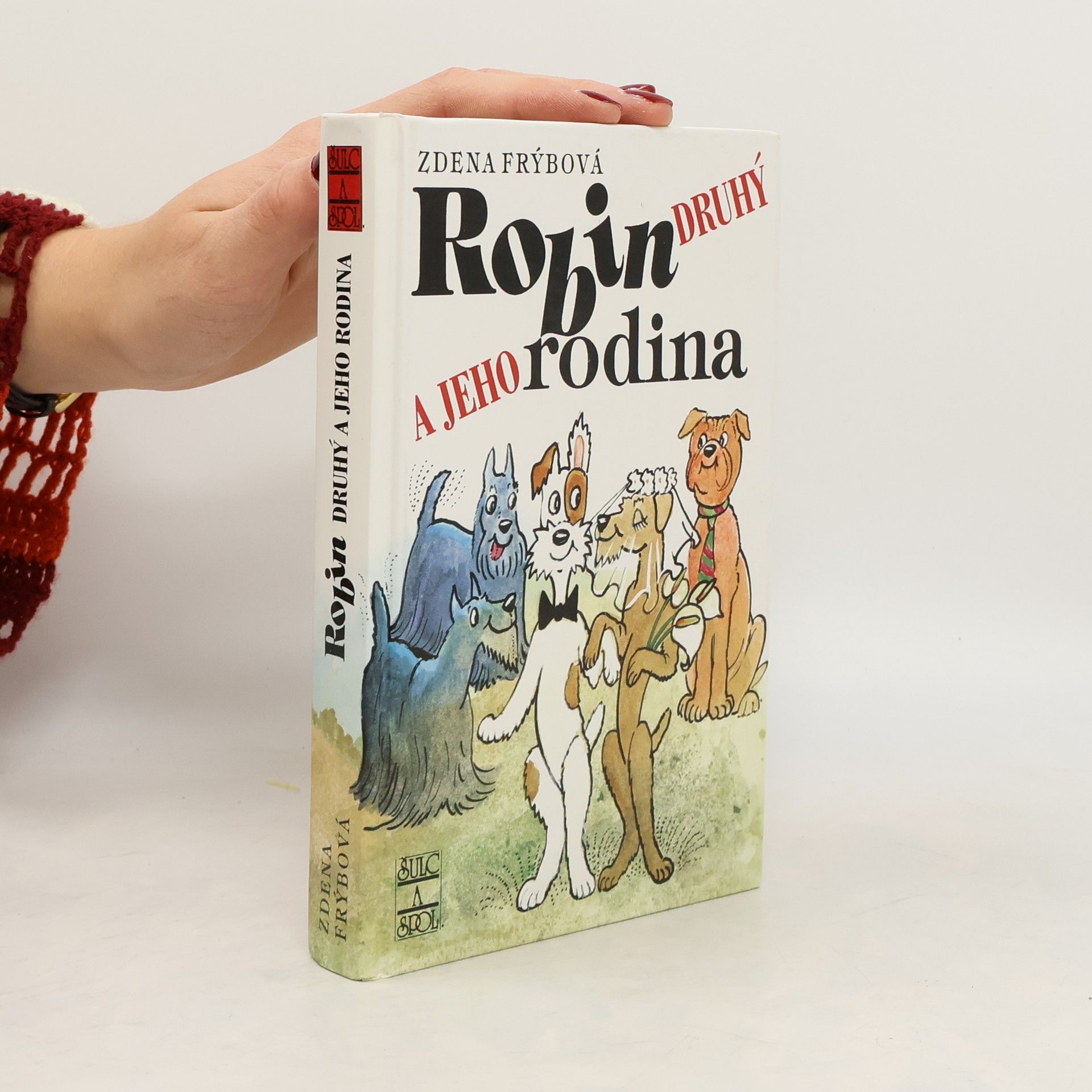 Zdena Frýbová Robin Druhý a jeho rodina