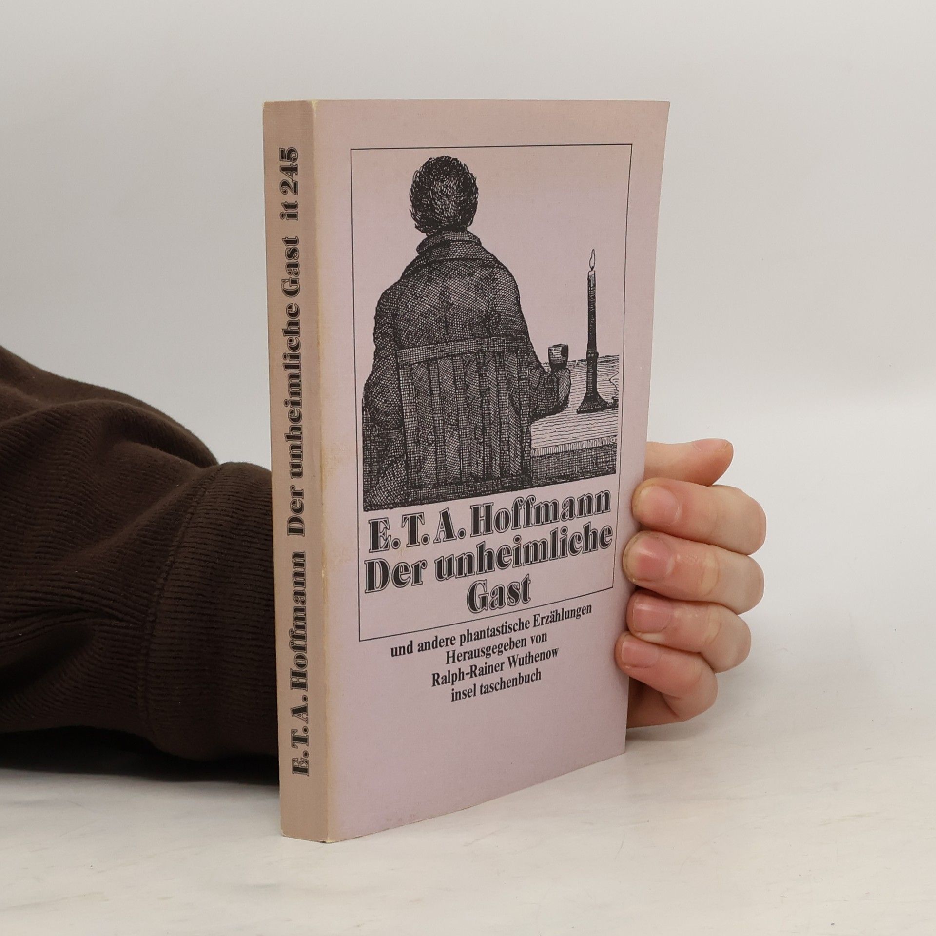 Ernst Theodor Amadeus Hoffmann Der unheimliche Gast und andere phantastische Erzählungen