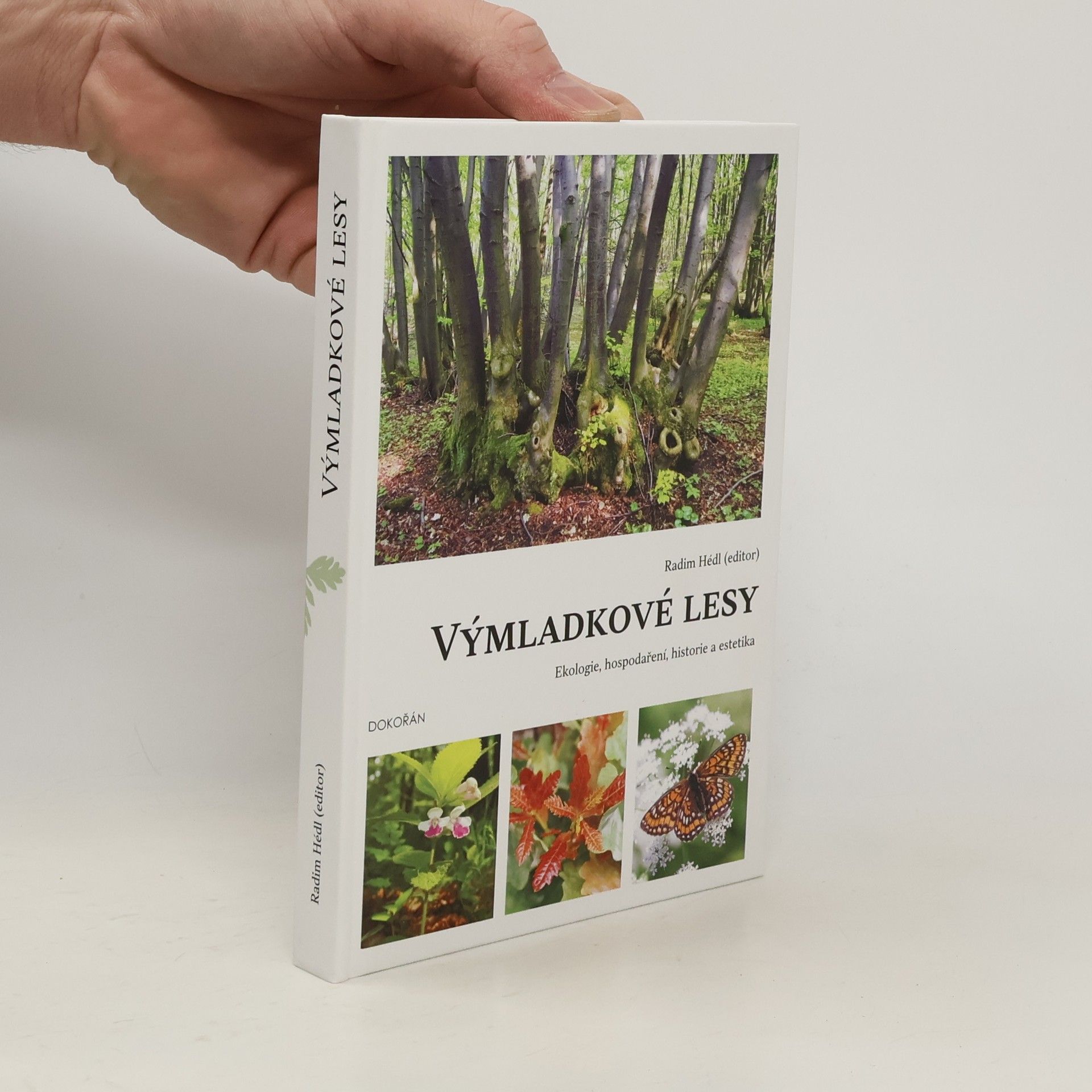 Radim Hédl Výmladkové lesy