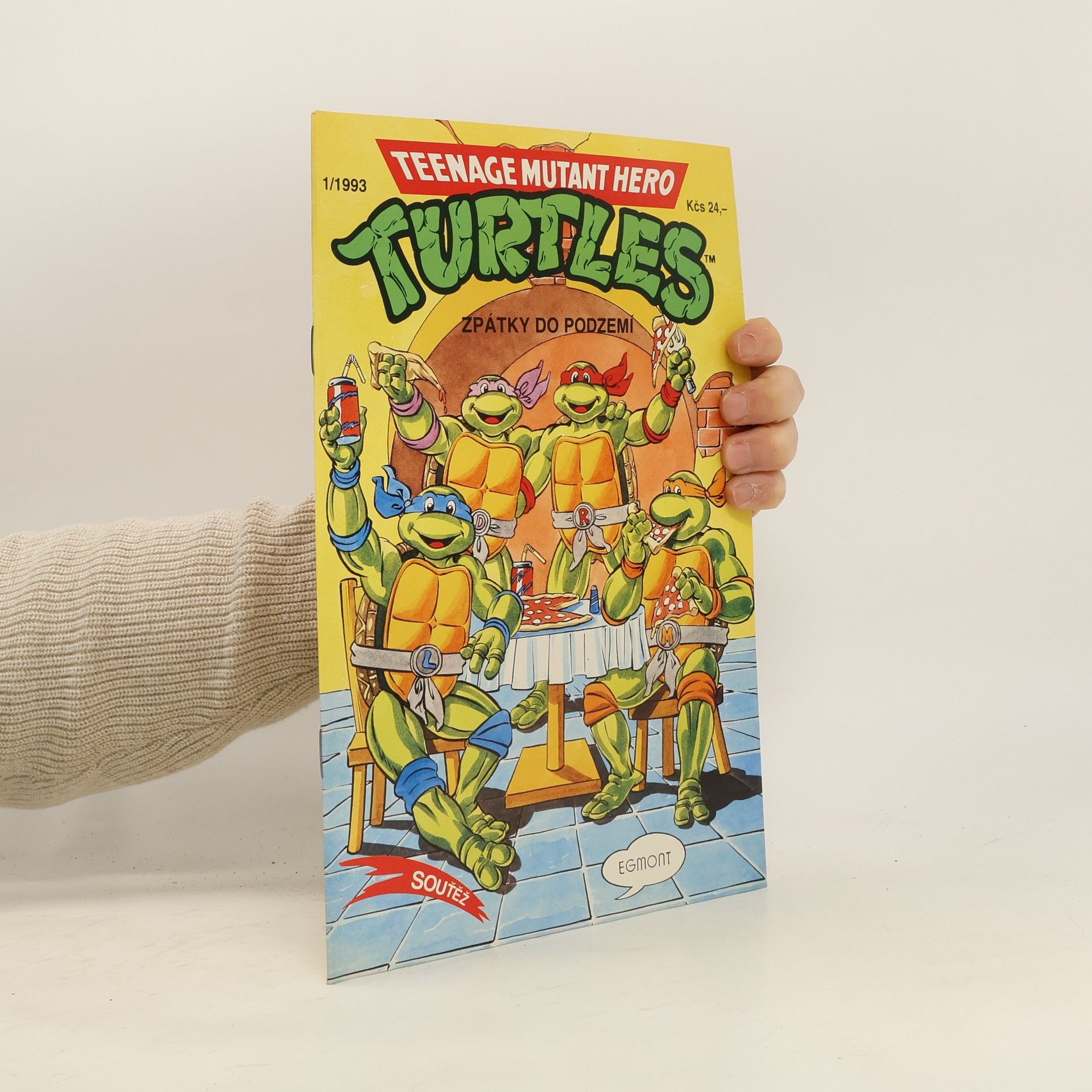 Dean Clarrain Teenage Mutant Hero Turtles #13