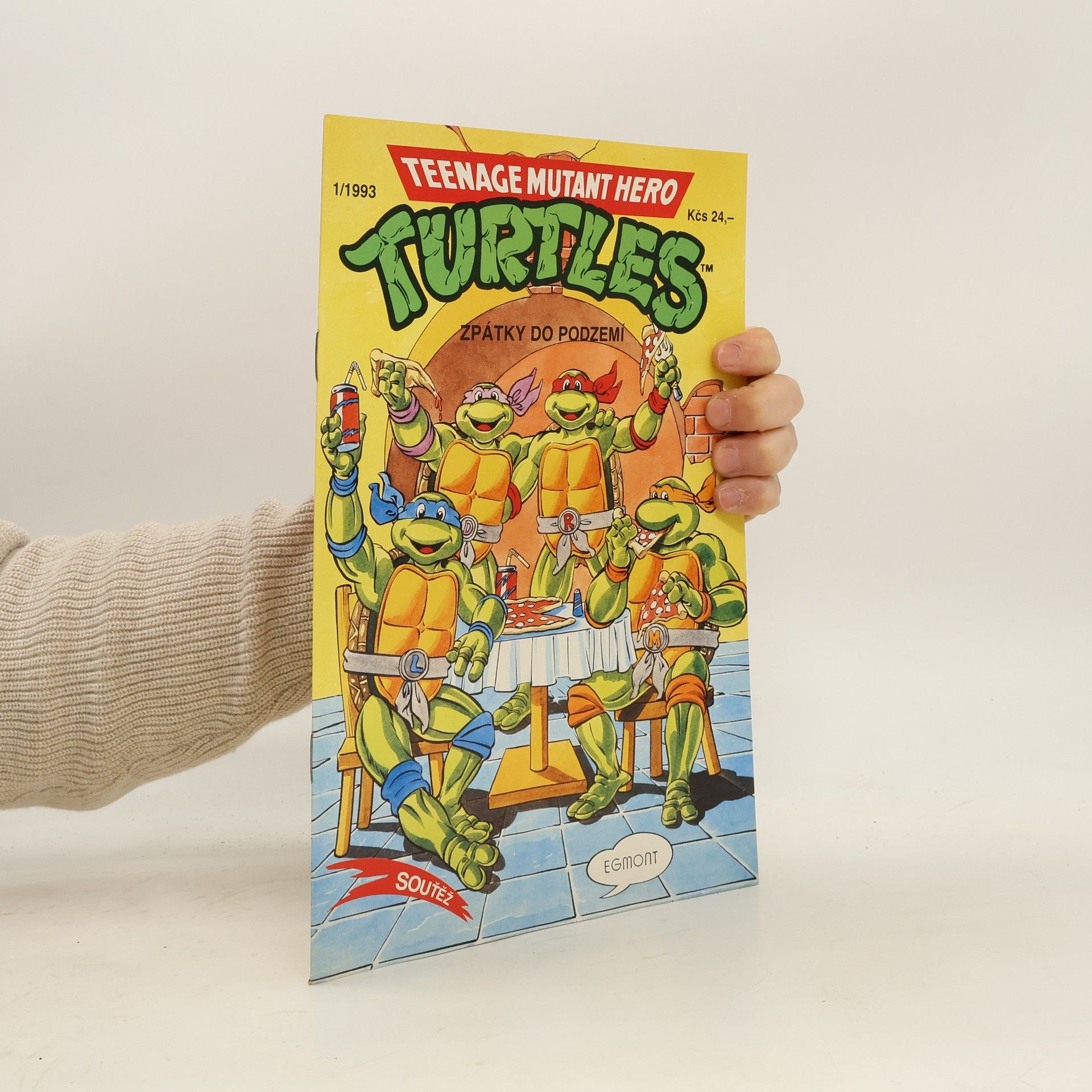 Dean Clarrain Teenage Mutant Hero Turtles #13
