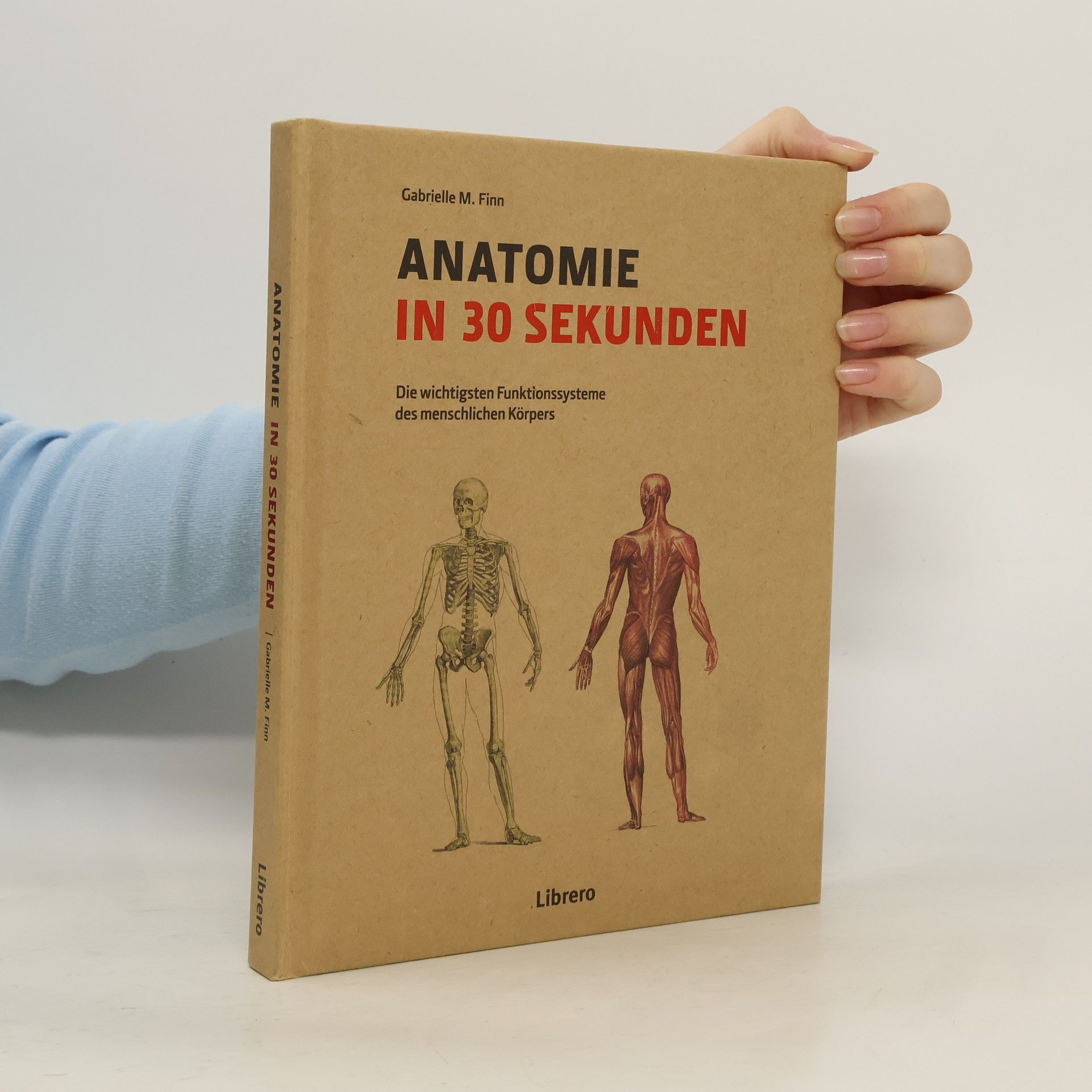 Gabrielle M. Finn Anatomie in 30 Sekunden