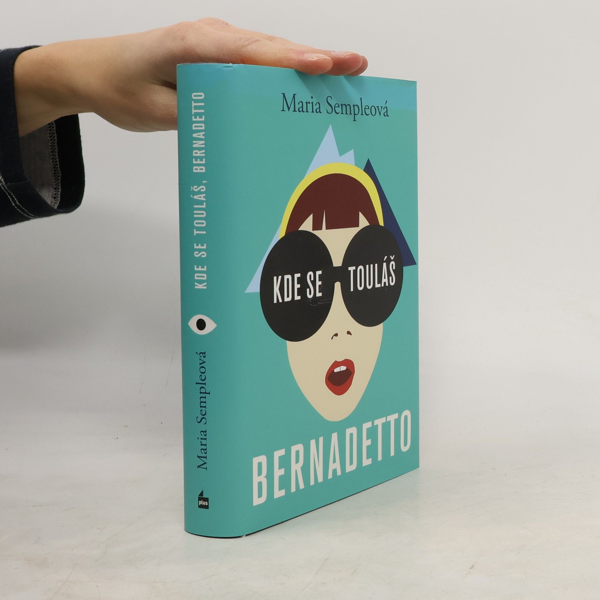 Maria Semple Kde se touláš, Bernadetto