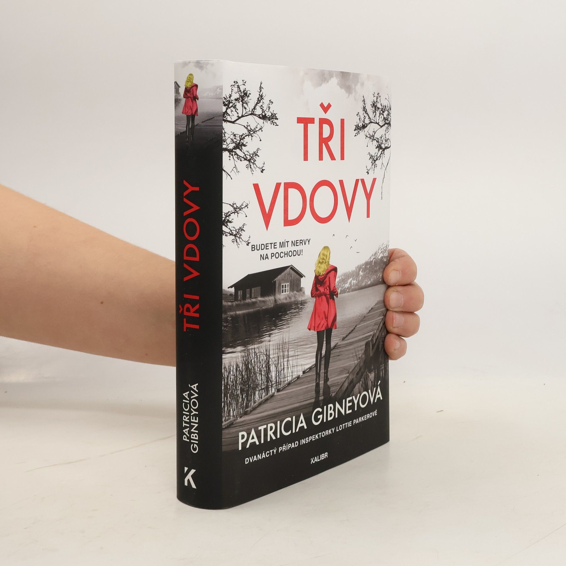 Patricia Gibney Tři vdovy