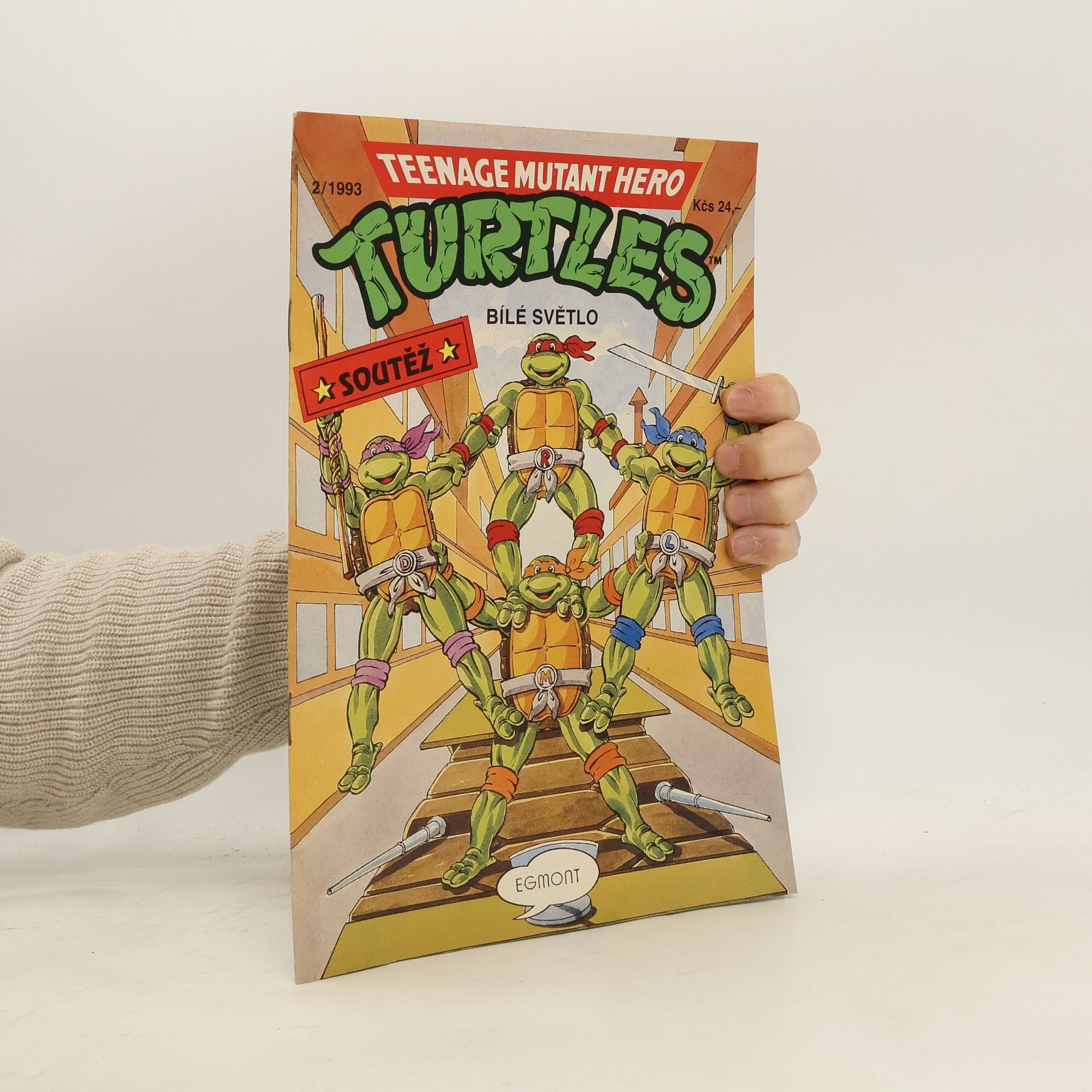 Teenage Mutant Hero Turtles #14