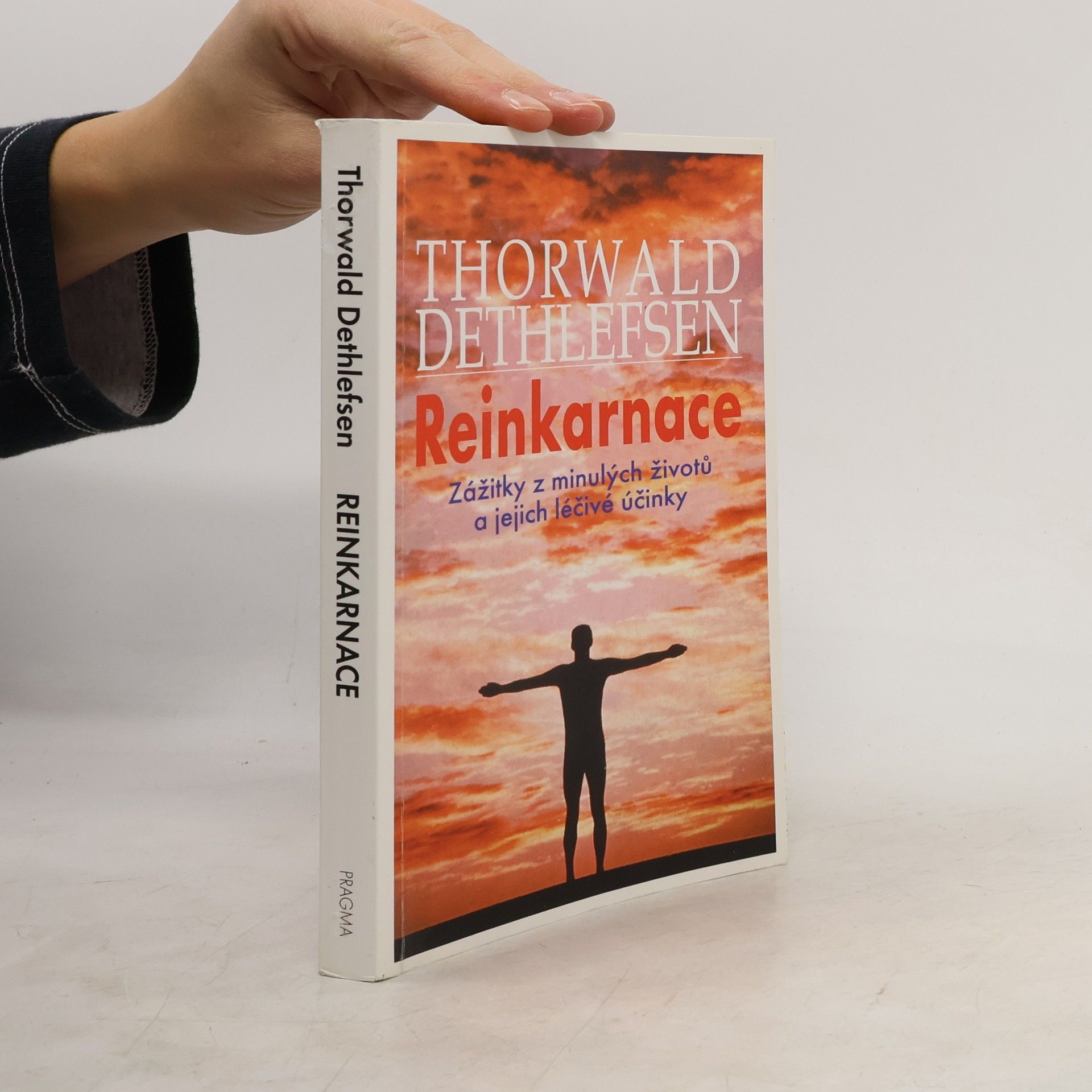 Thorwald Dethlefsen Reinkarnace : zážitky z minulých životů a jejich léčebné účinky