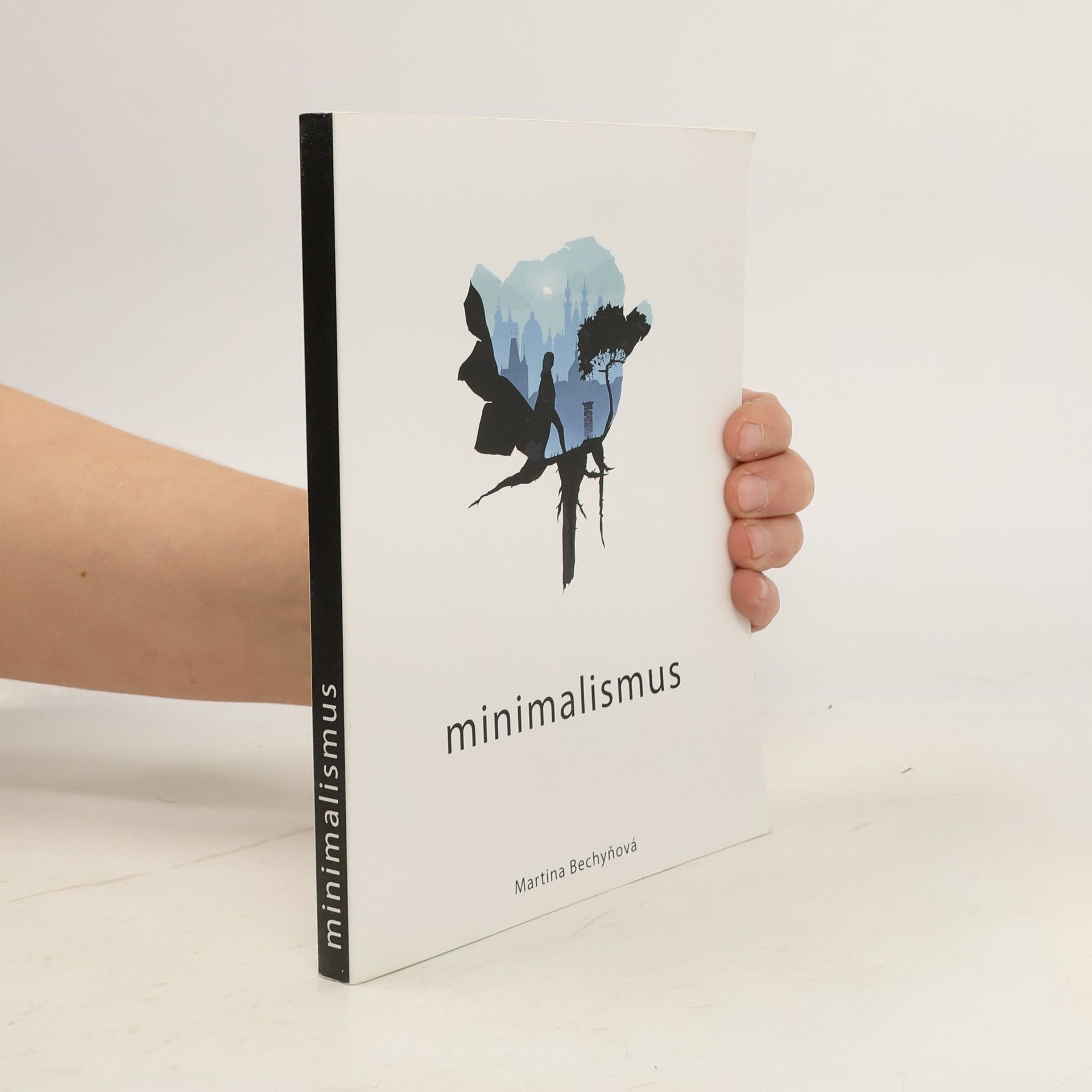 Martina Bechyňková Minimalismus