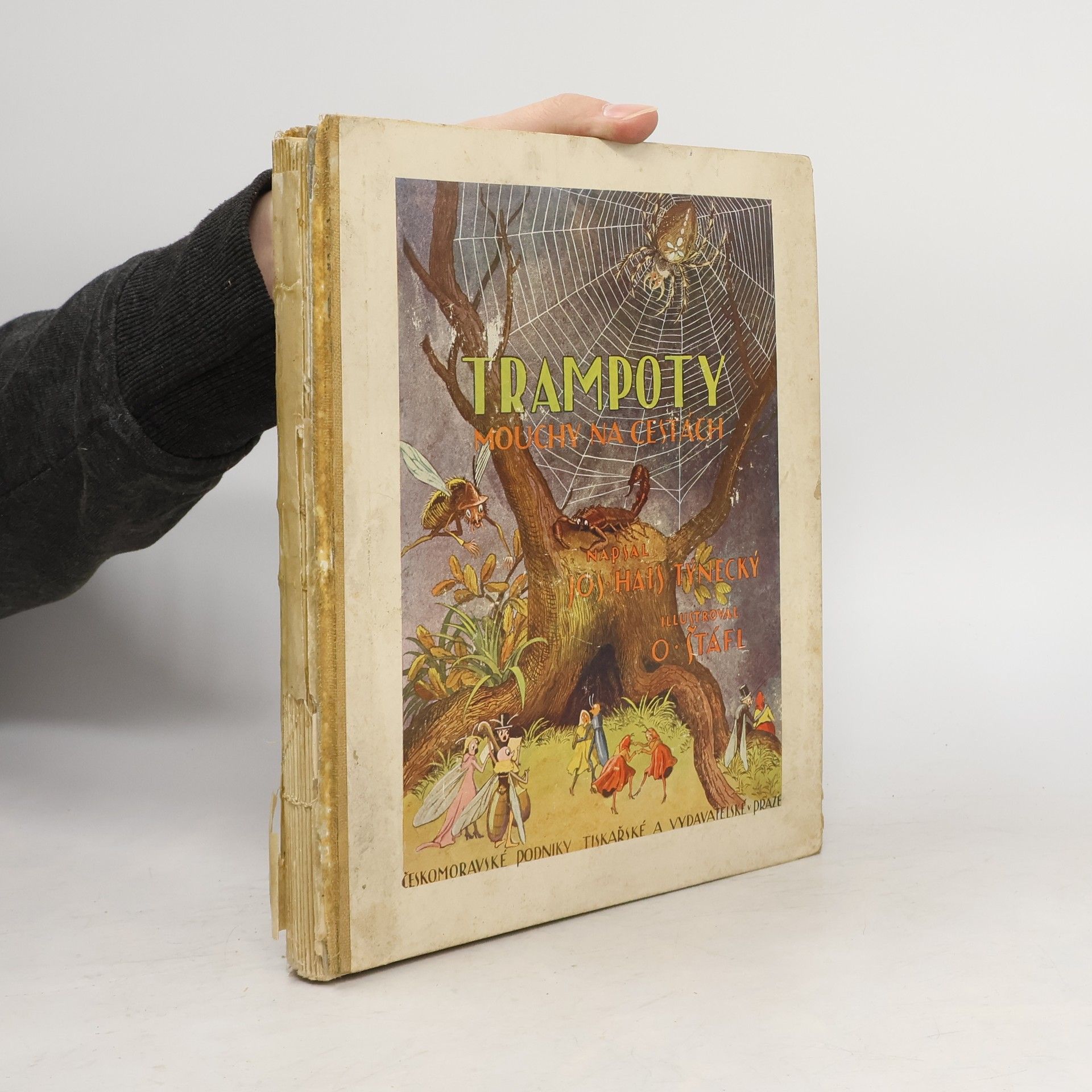 Josef Hais Týnecký Trampoty mouchy na cestách