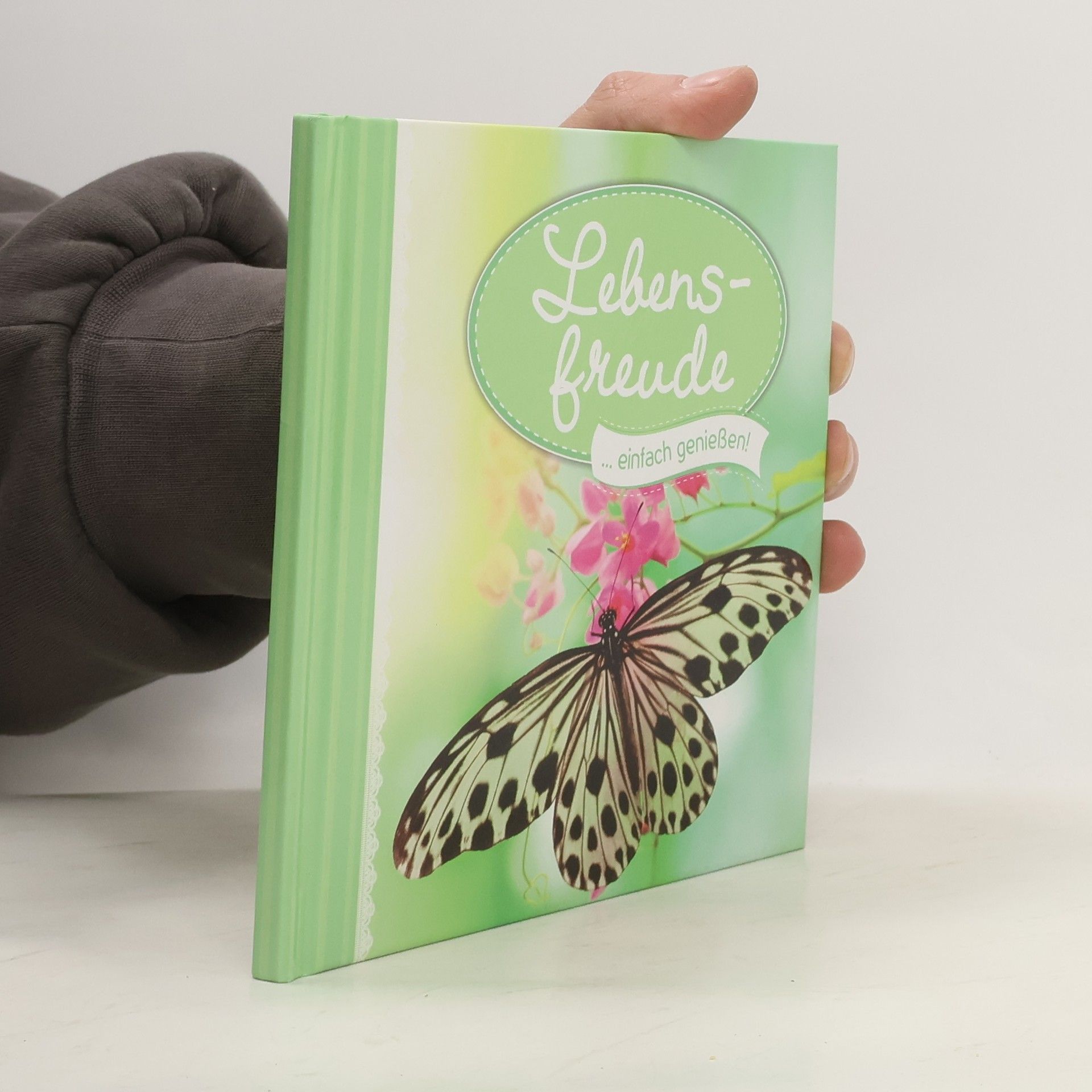 Autores varios Lebensfreude ... einfach geniessen!