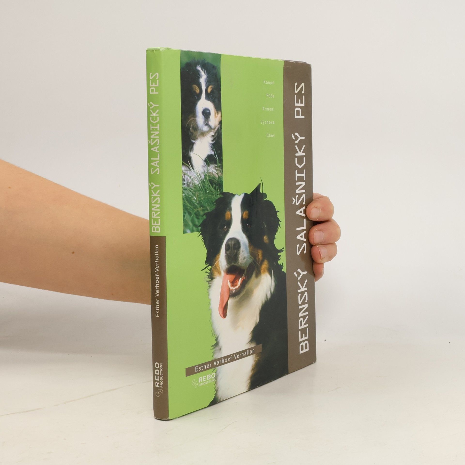 Berry Verhoef Bernský salašnický pes