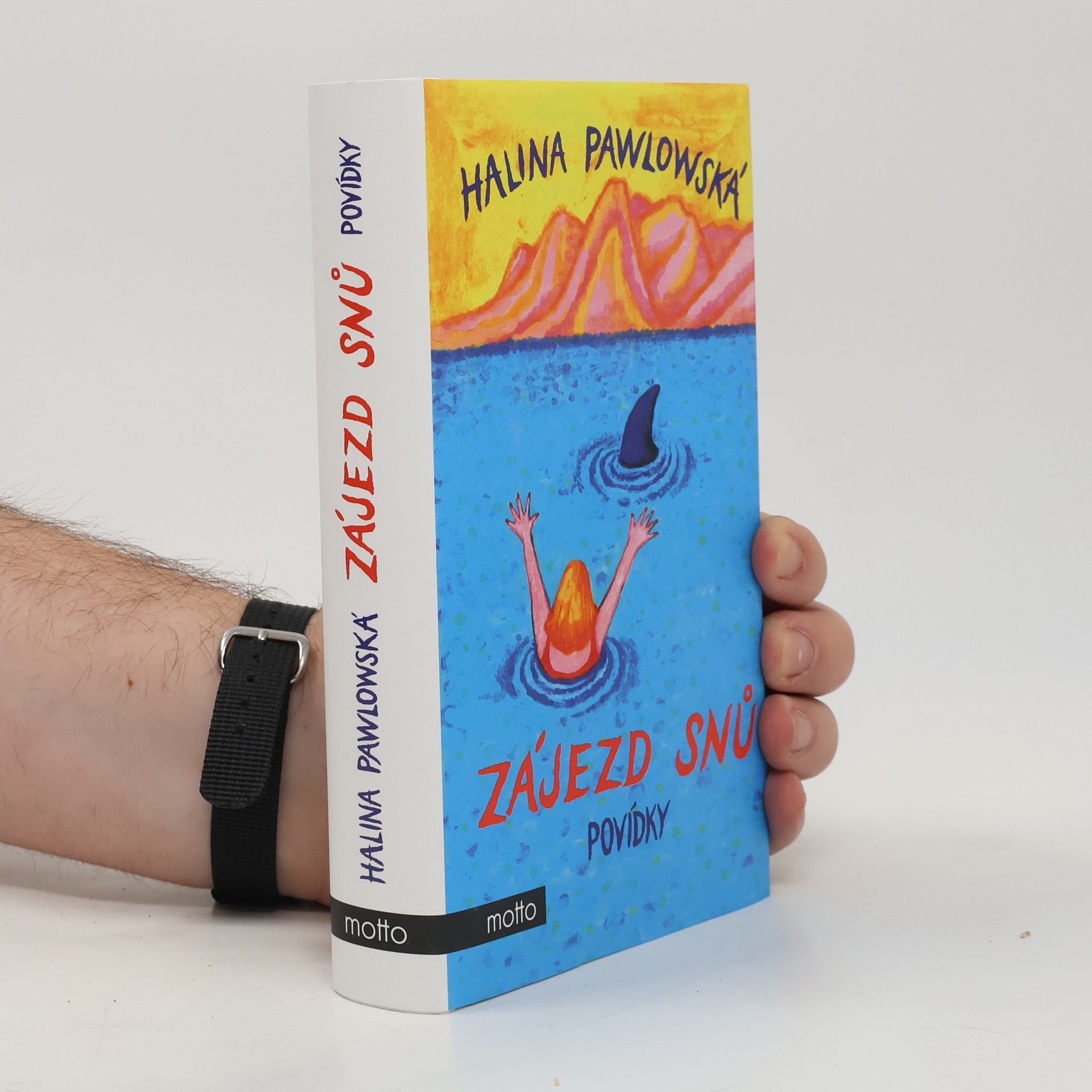 Zájezd snů : povídky