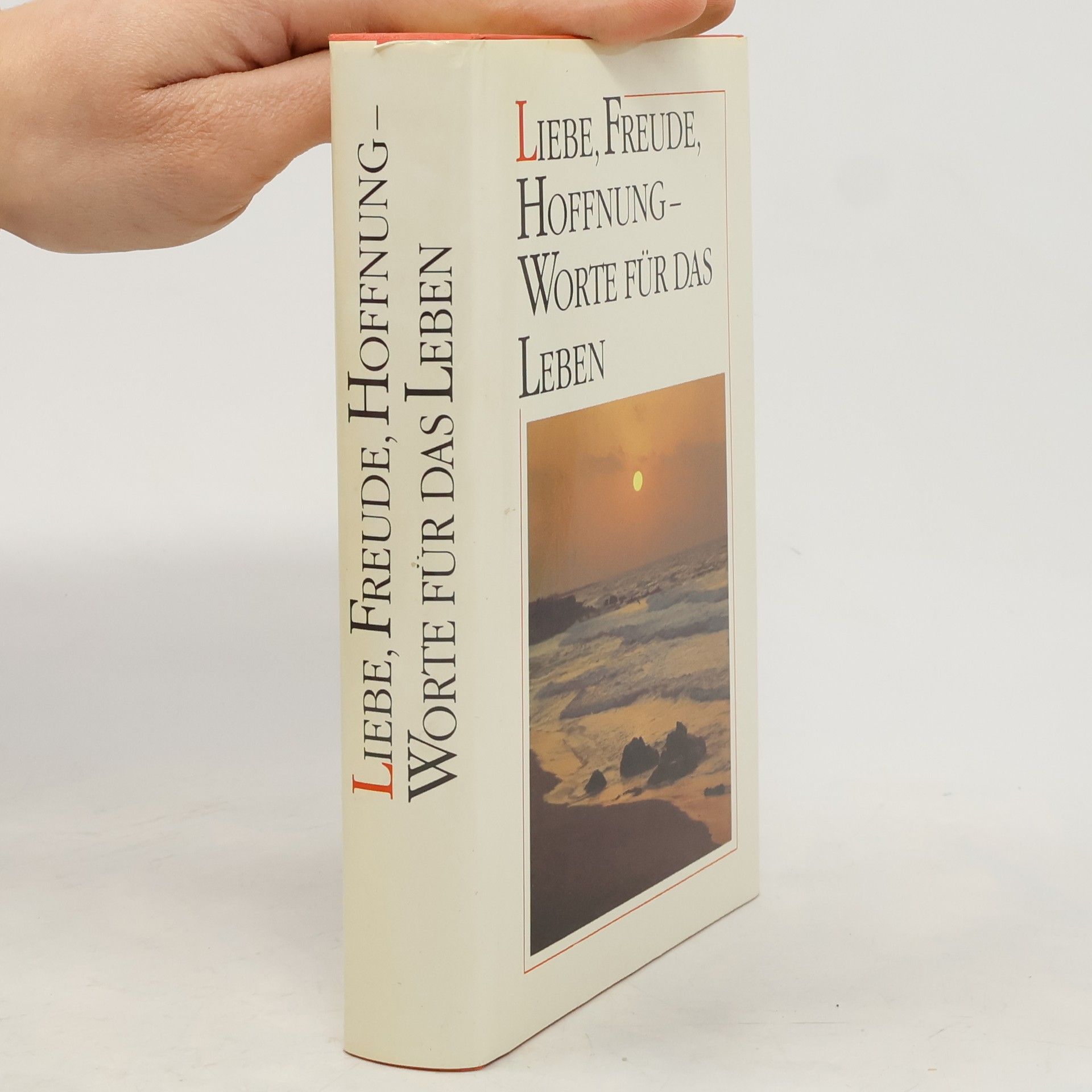 Autorenkollektiv Liebe, Freude, Hoffnung - Worte für das Leben