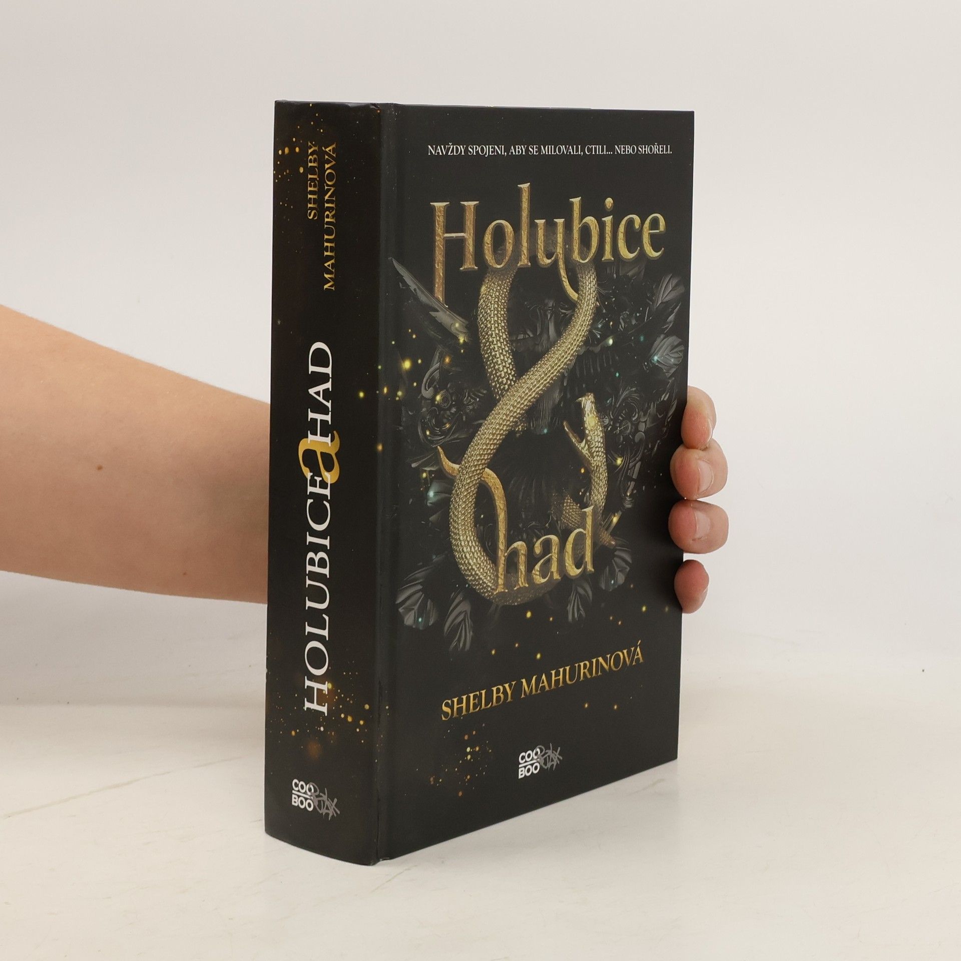 Shelby Mahurin Holubice a had