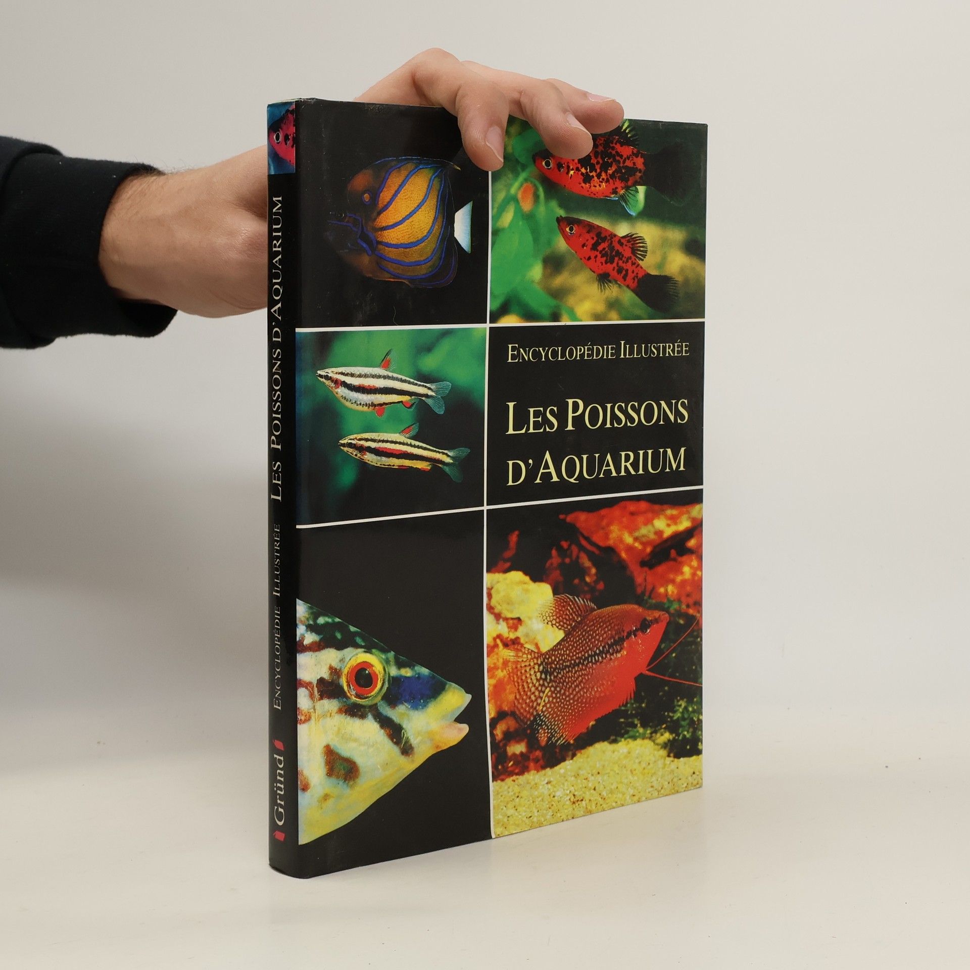 Les Poissons D'Aquarium