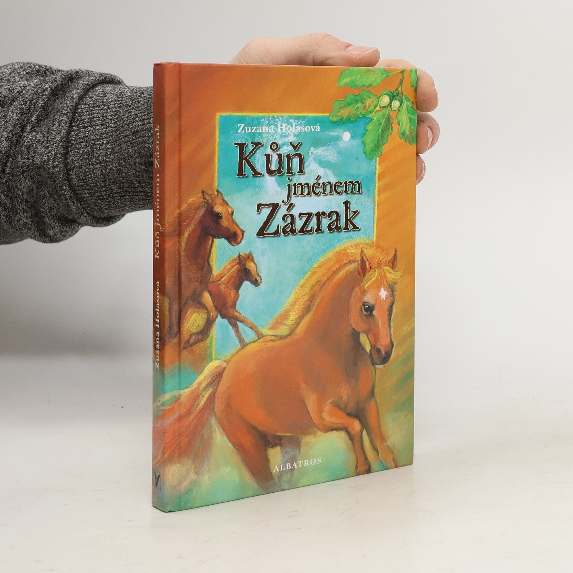 Kůň jménem Zázrak