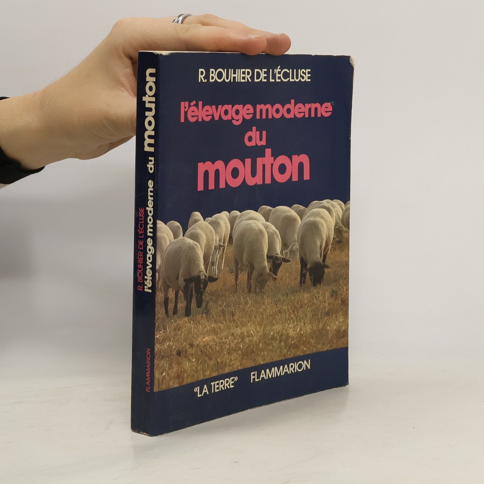 Robert Bouhier de L'écluse L'Élevage moderne du mouton