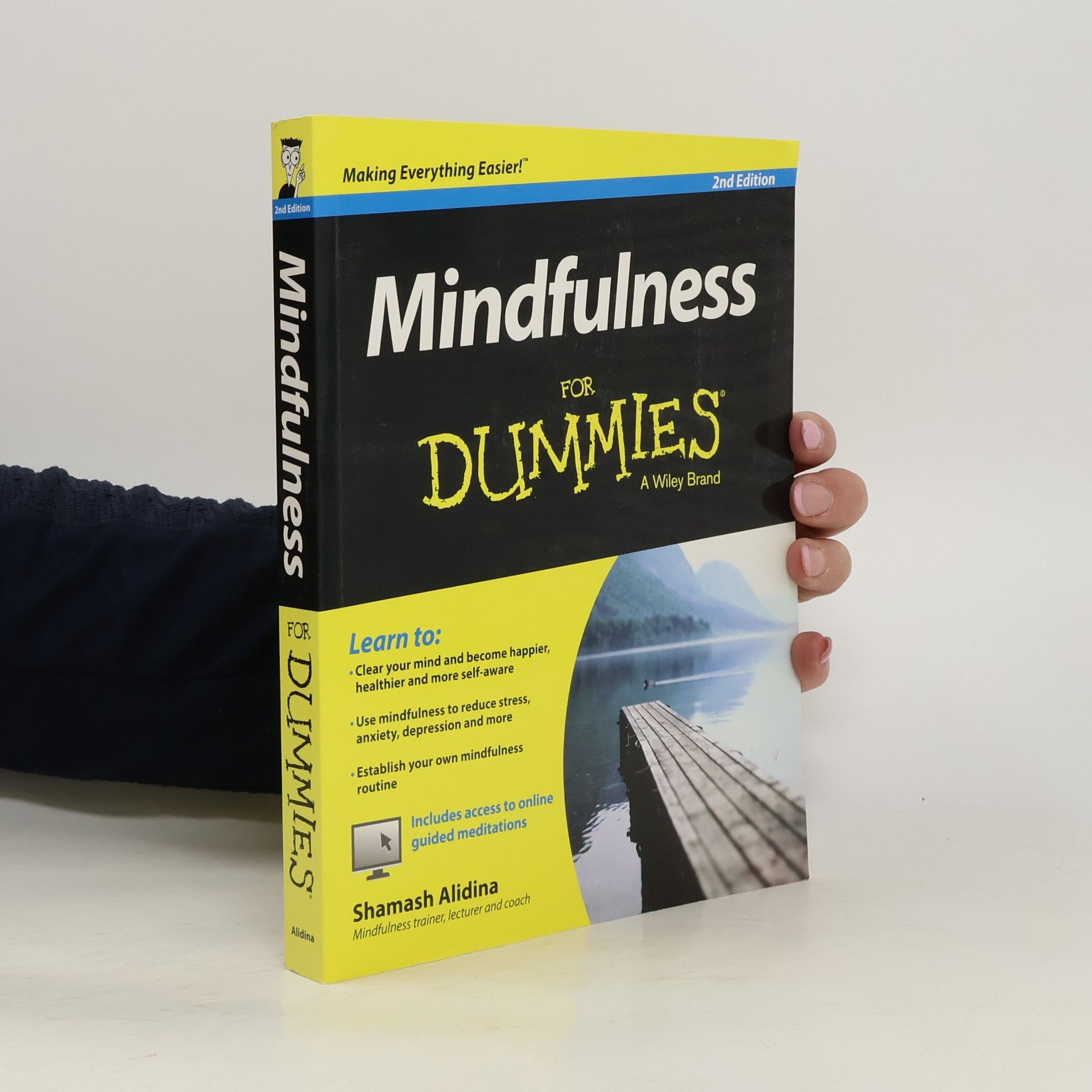 Mindfulness For Dummies