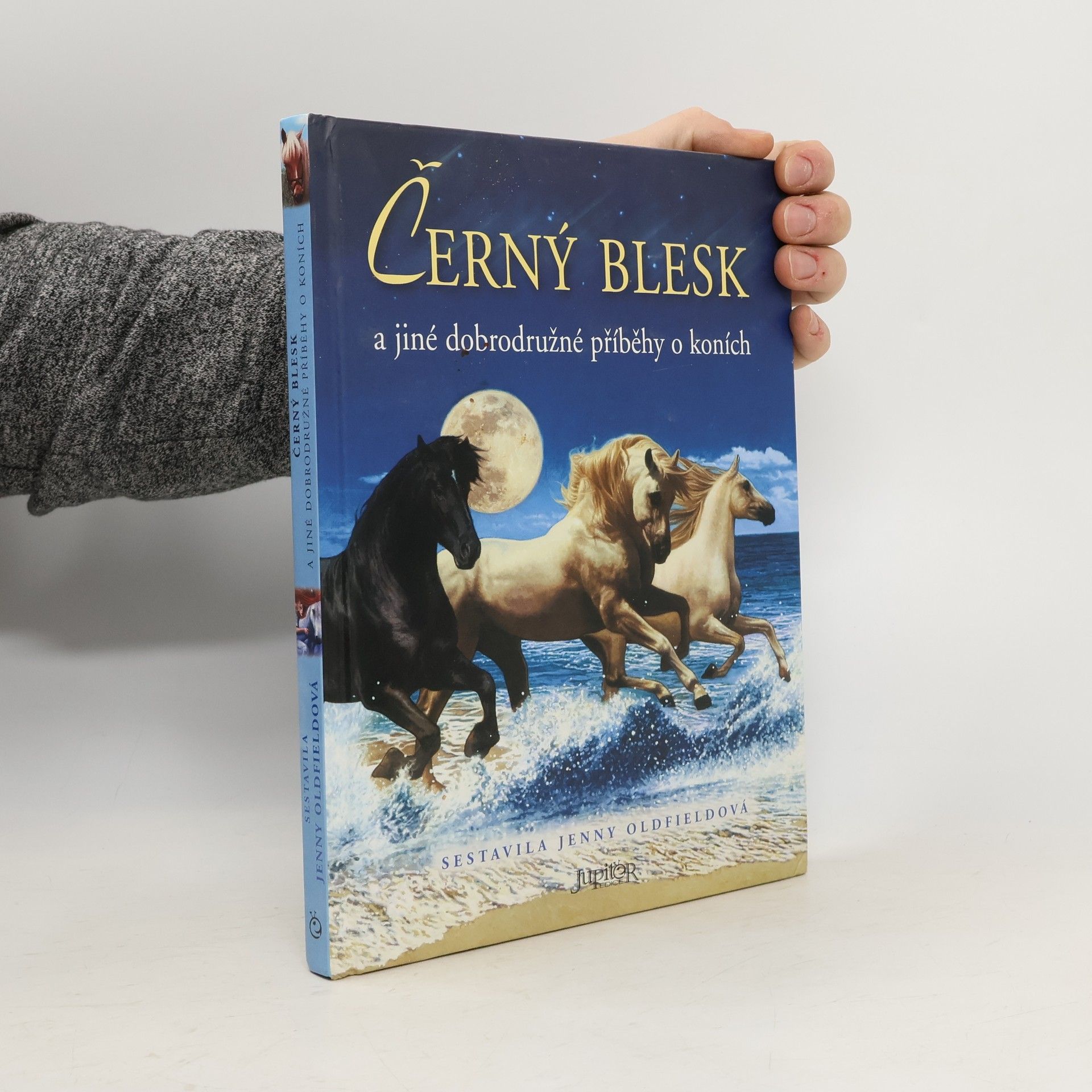 Černý blesk a jiné dobrodružné příběhy o koních