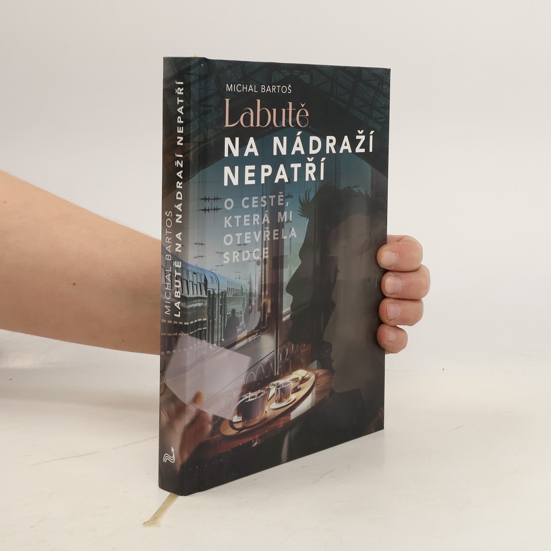 Labutě na nádraží nepatří