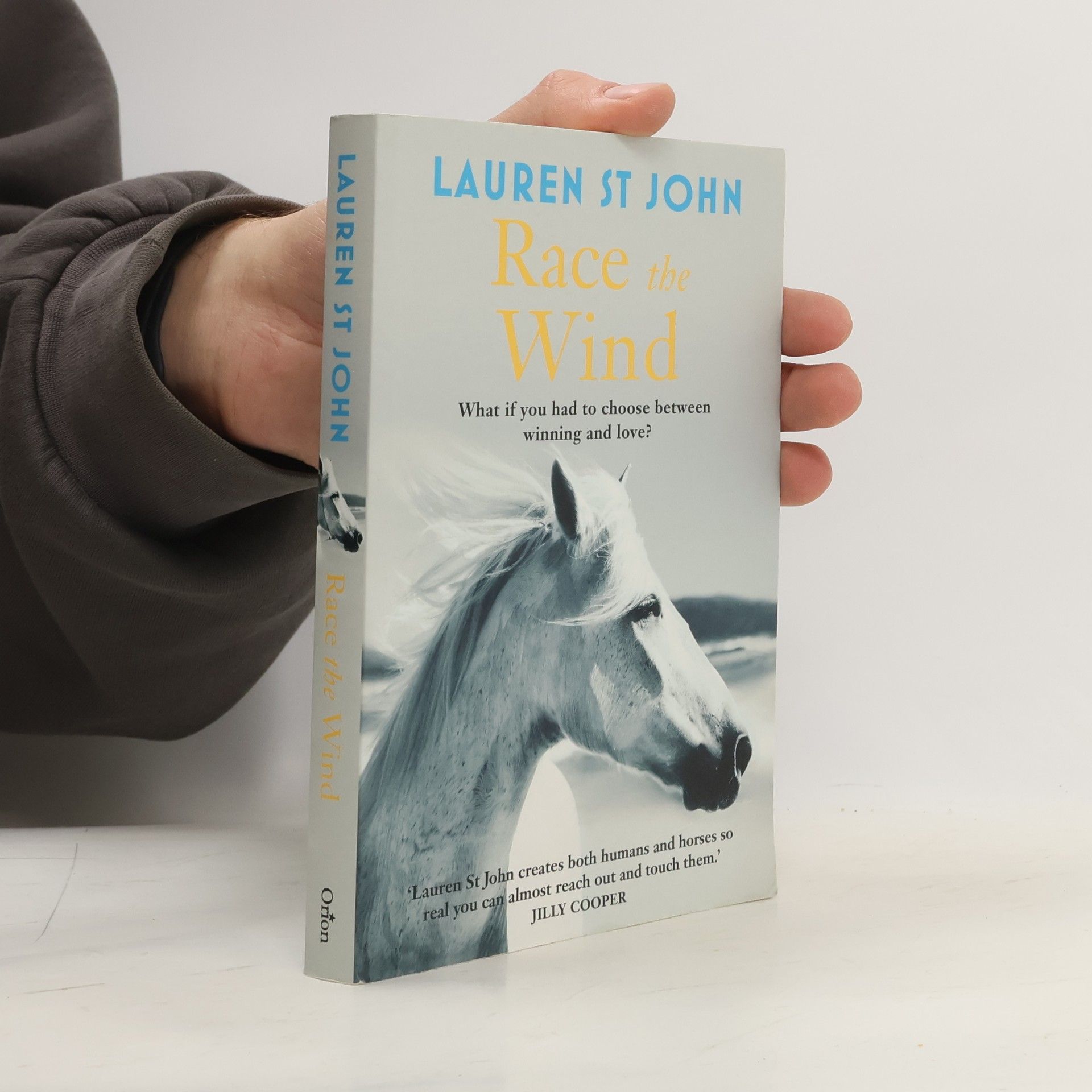 Lauren St. John Race the Wind