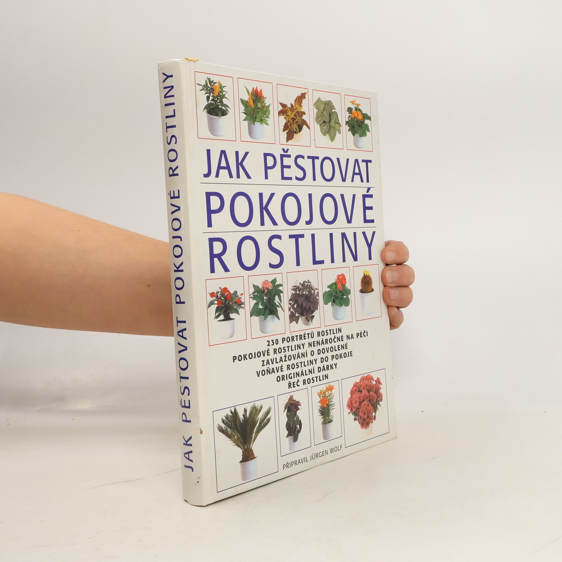 Jürgen Wolff Jak pěstovat pokojové rostliny