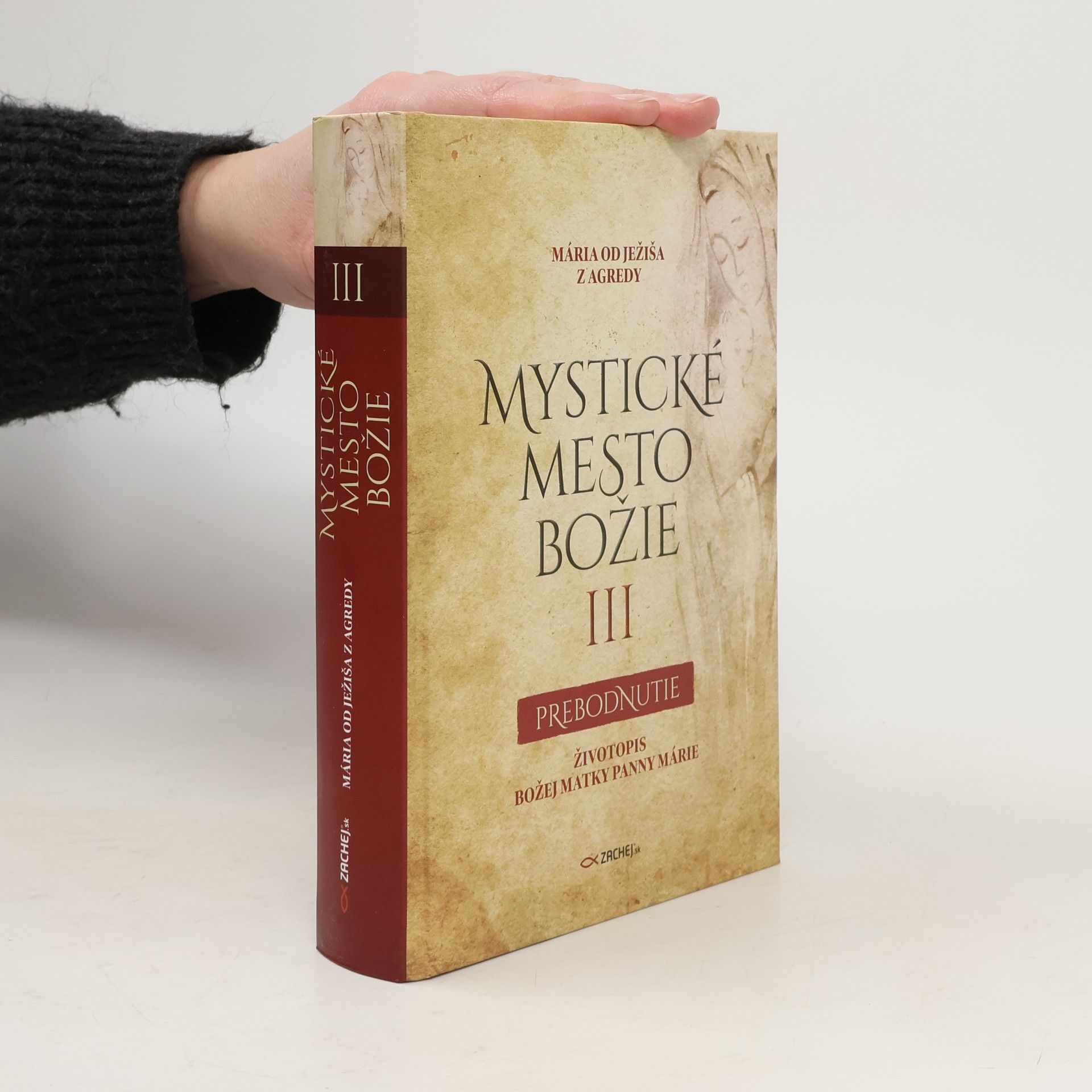 Kolektív autorov Mystické mesto božie III. - prebodnutie