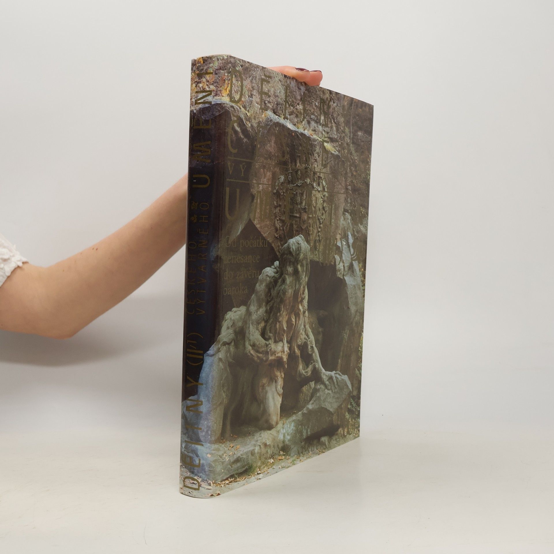 Kolektiv autorů Dějiny českého výtvarného umění II/1