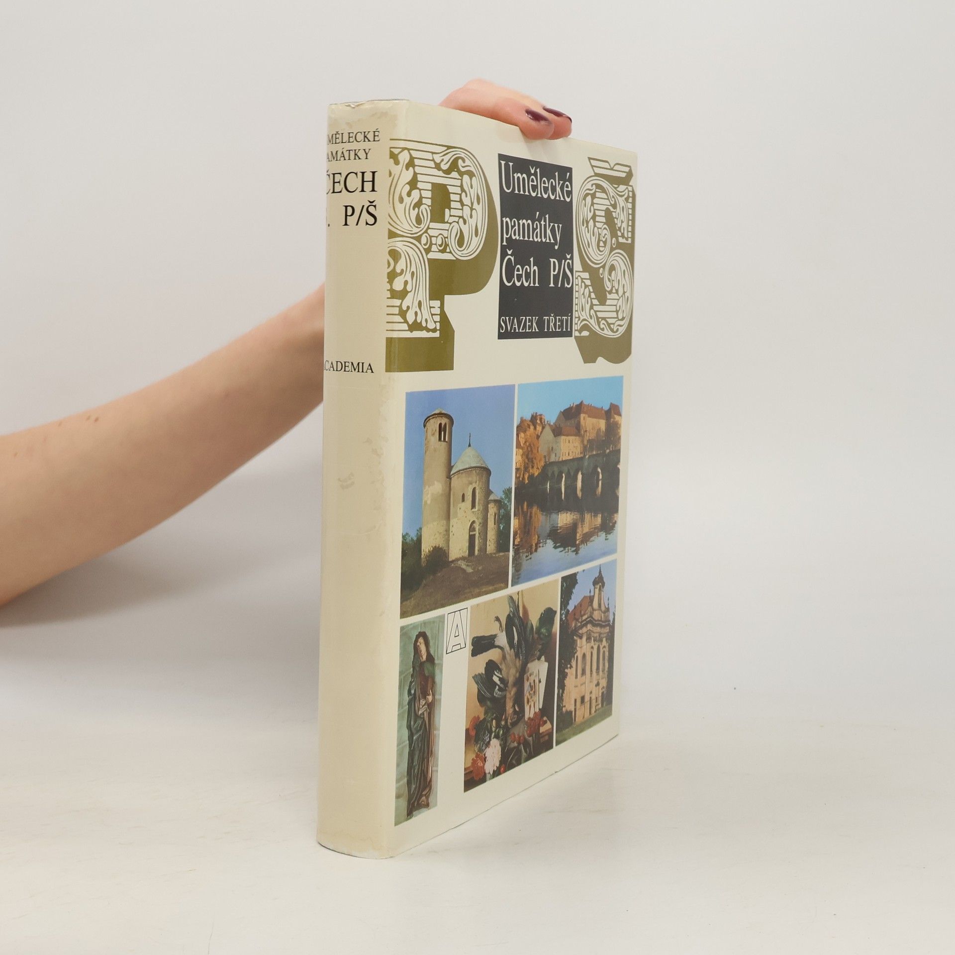 Autorenkollektiv Umělecké památky Čech 3. P-Š