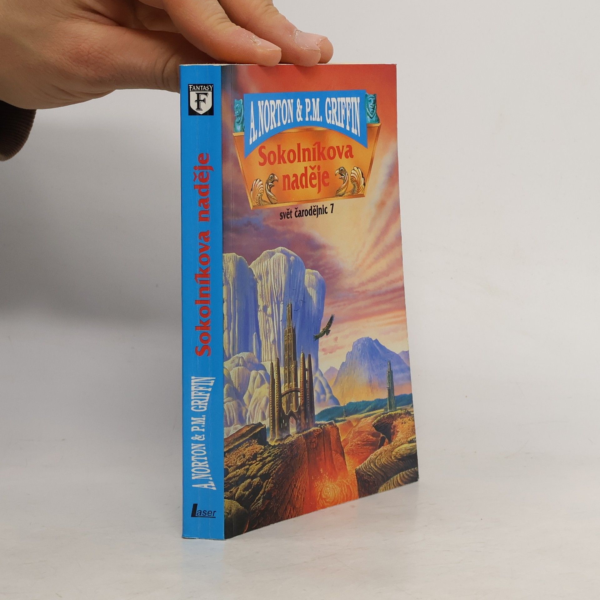 Andre Norton Svět čarodějnic 7, Sokolníkova naděje