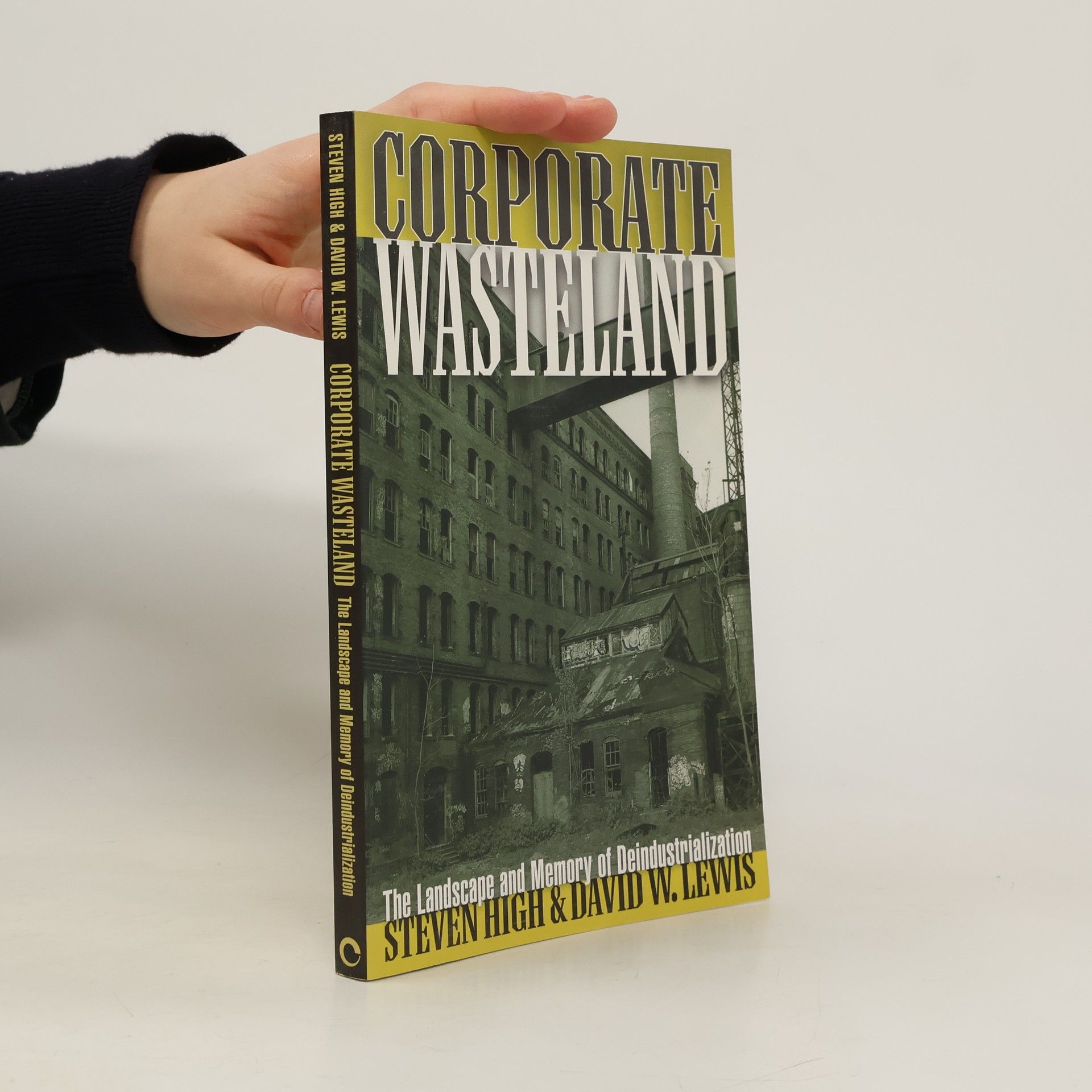 David W. Lewis Corporate Wasteland