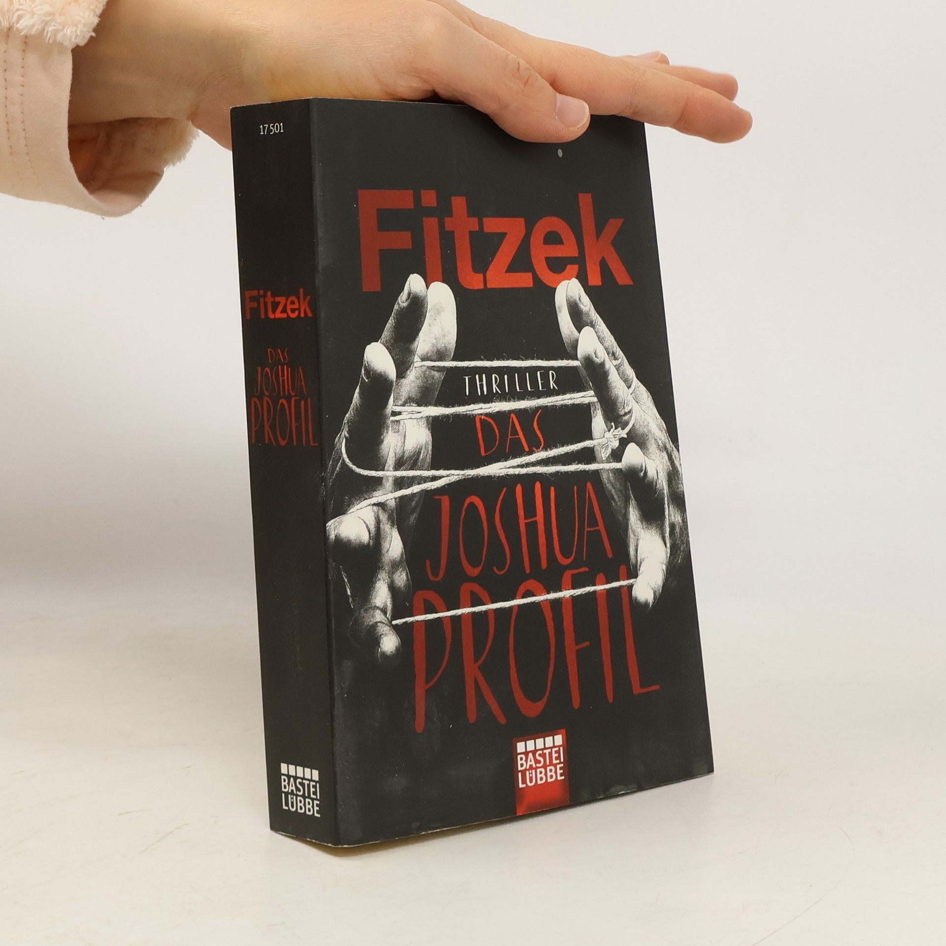 Sebastian Fitzek Das Joshua-Profil