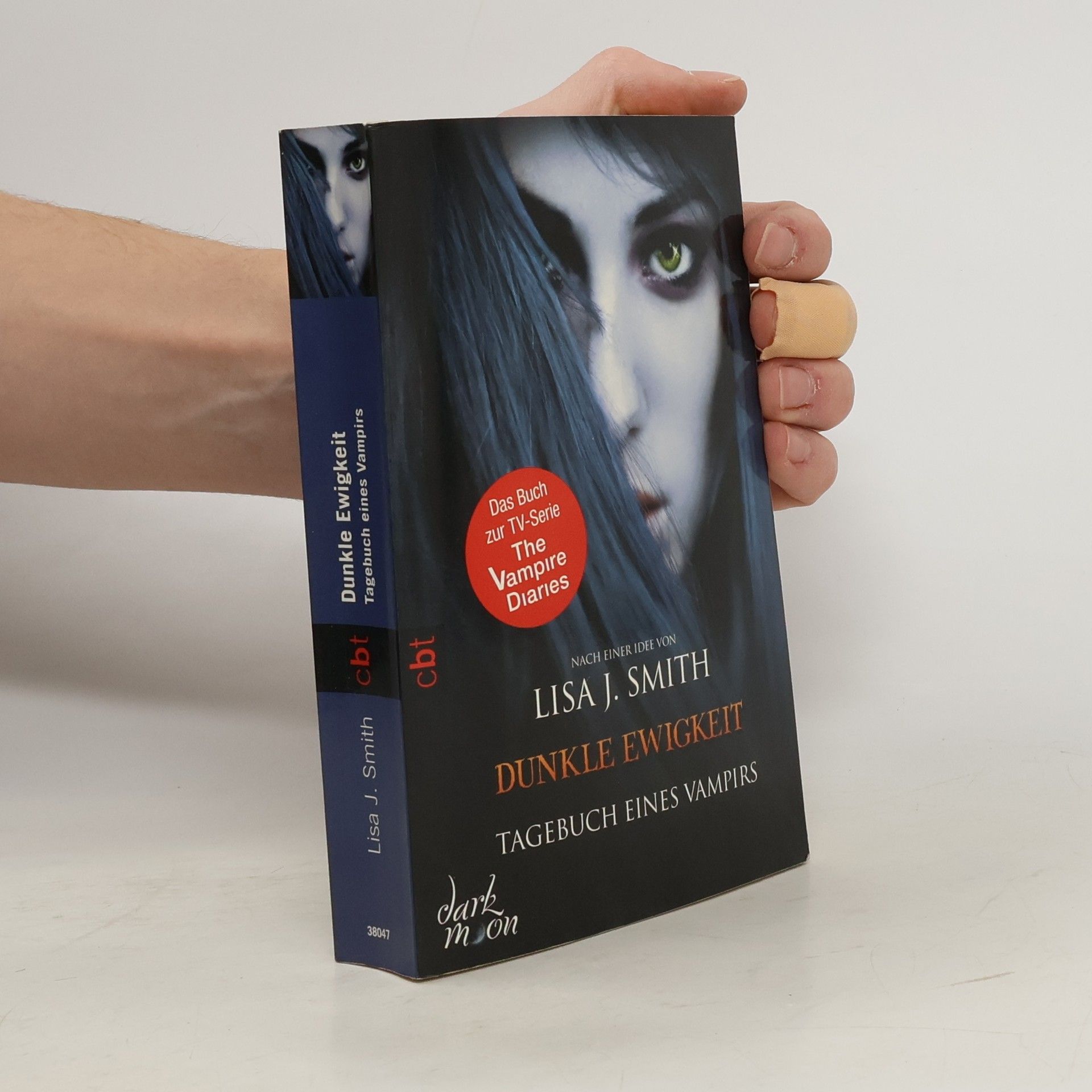 L. J. Smith Dunkle Ewigkeit: Tagebuch eines Vampirs