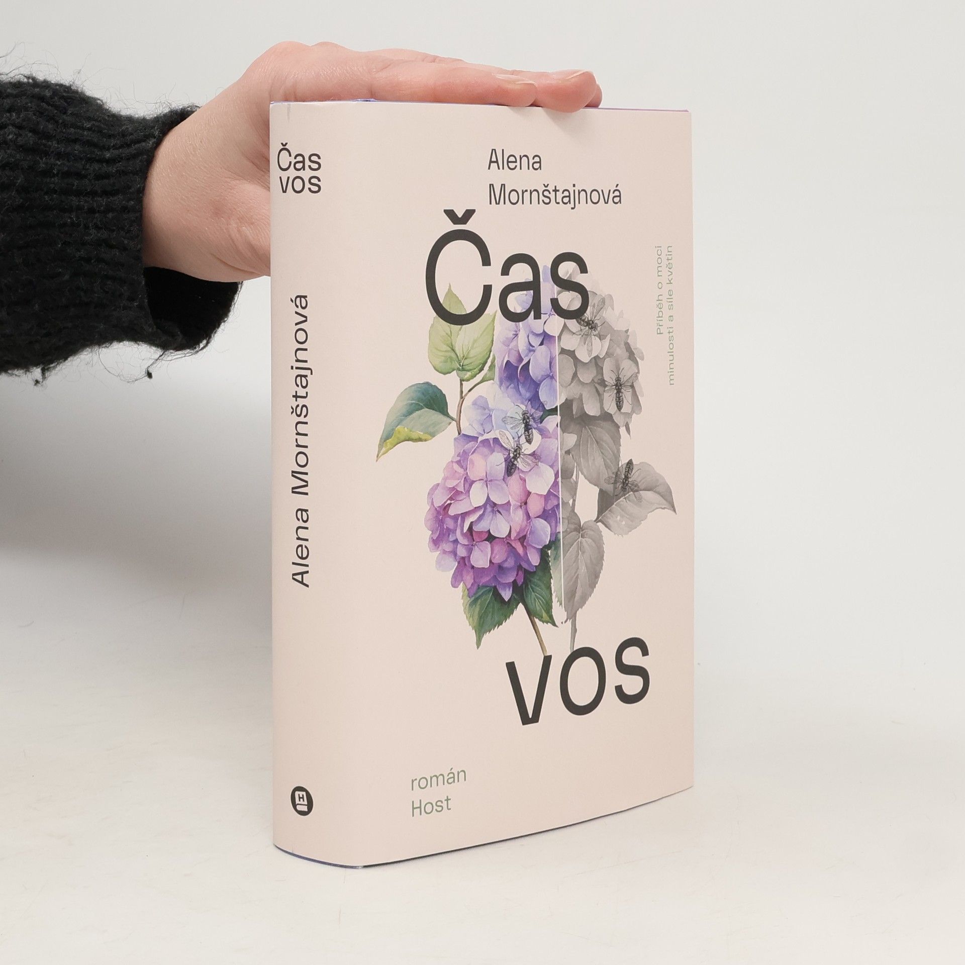 Alena Mornštajnová Čas vos