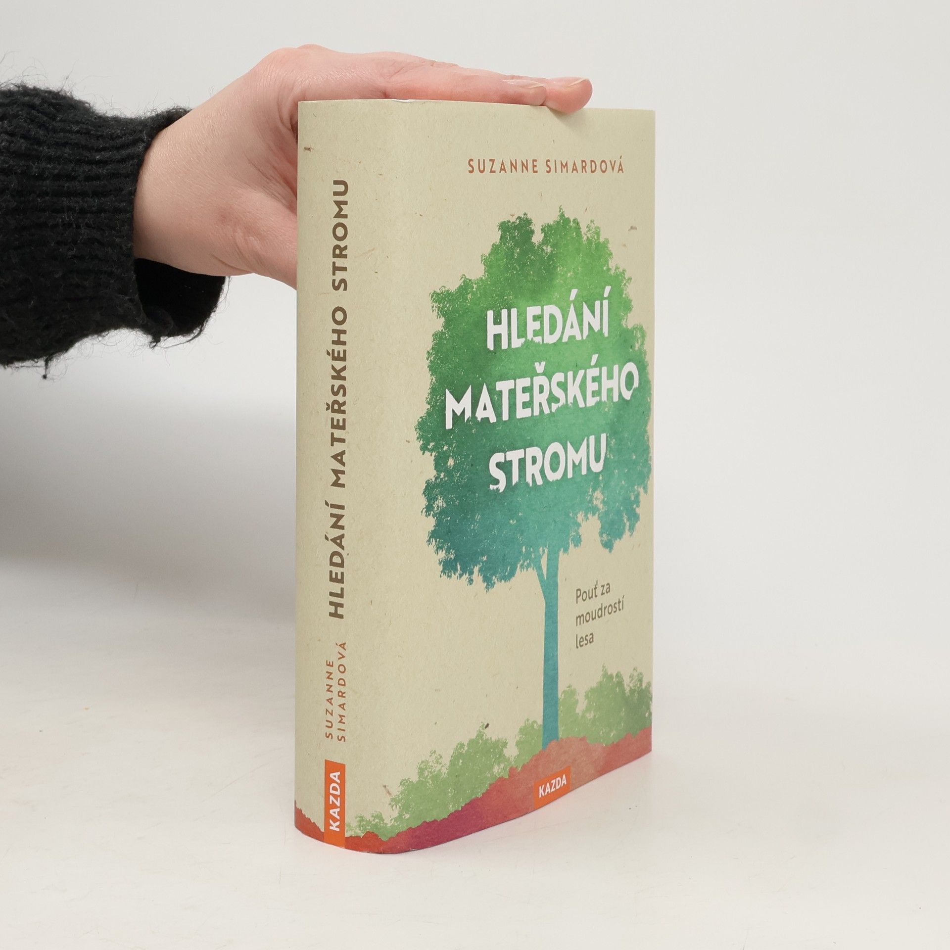 Hledání mateřského stromu