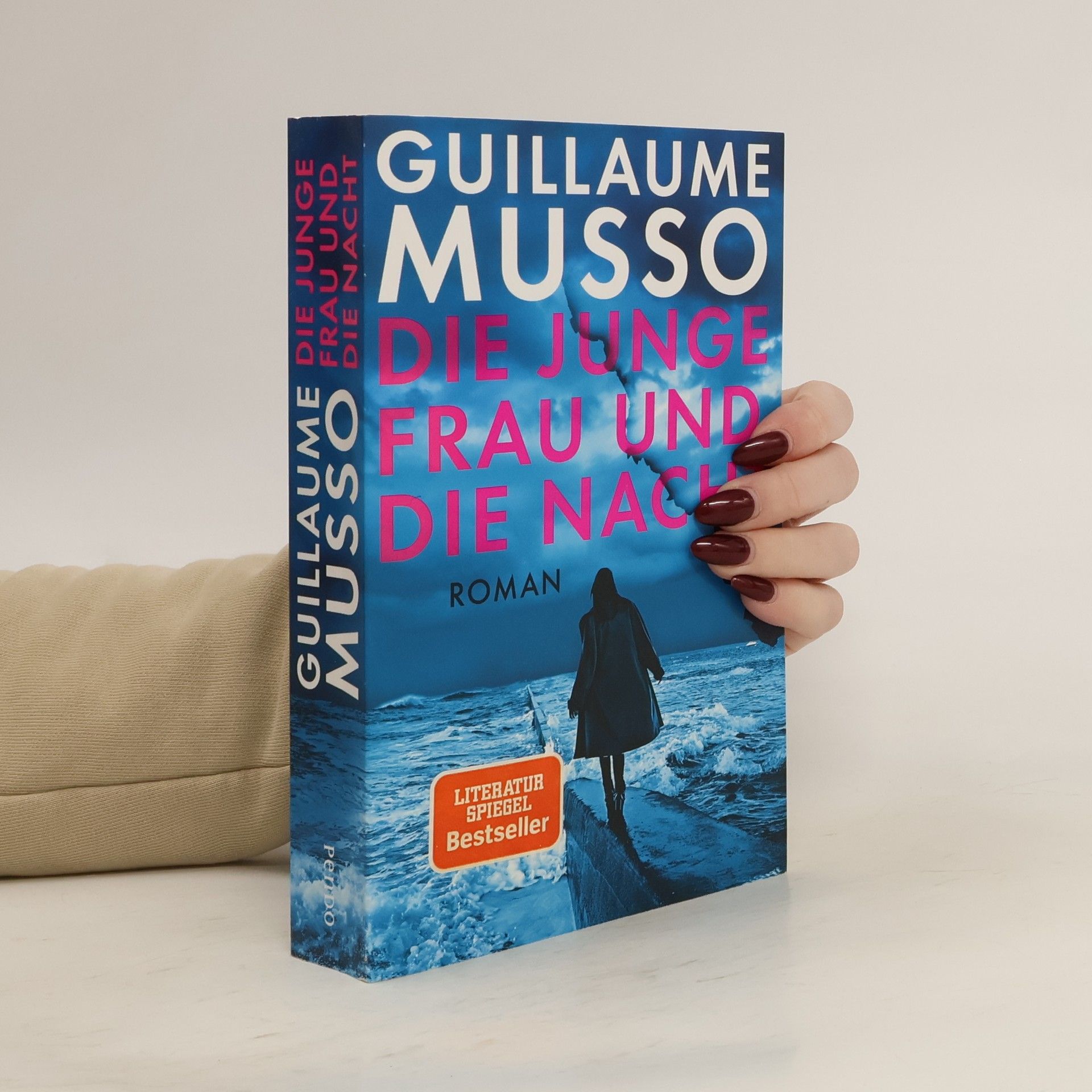 Guillaume Musso Die junge Frau und die Nacht