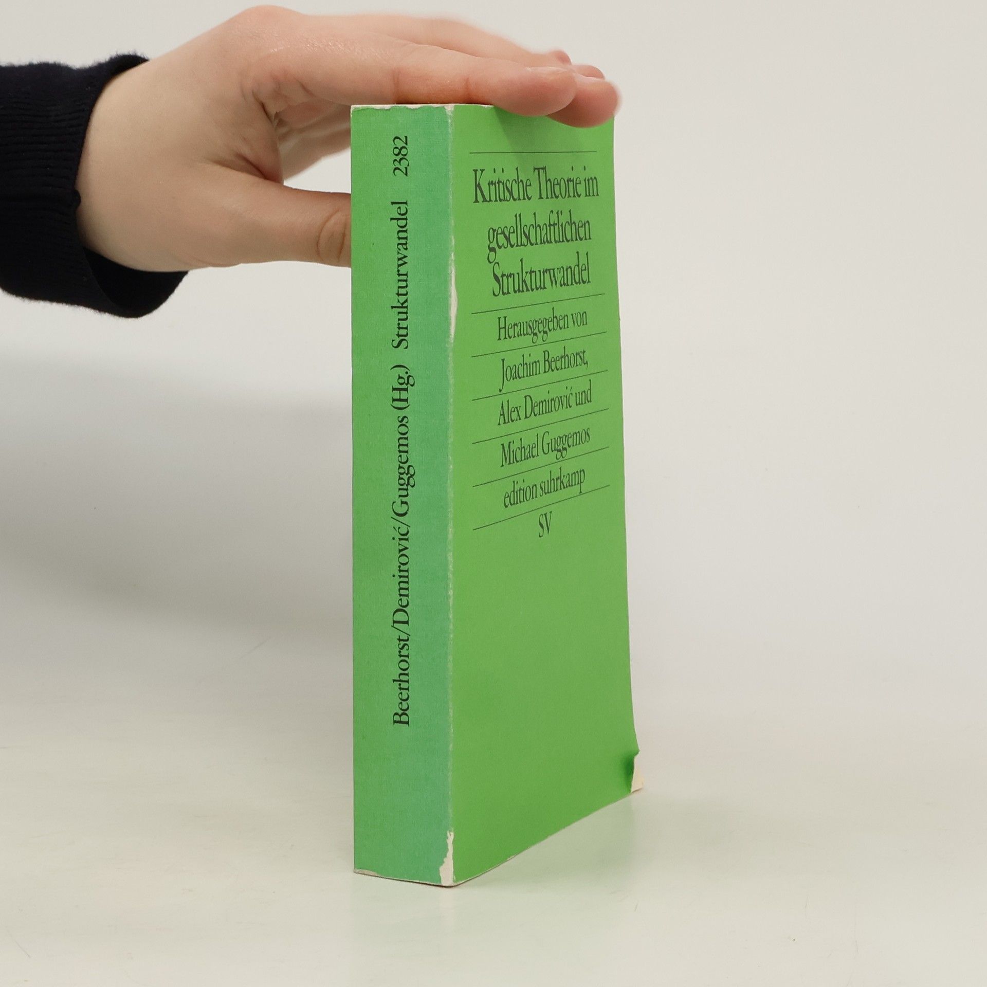 Kritische Theorie im gesellschaftlichen Strukturwandel